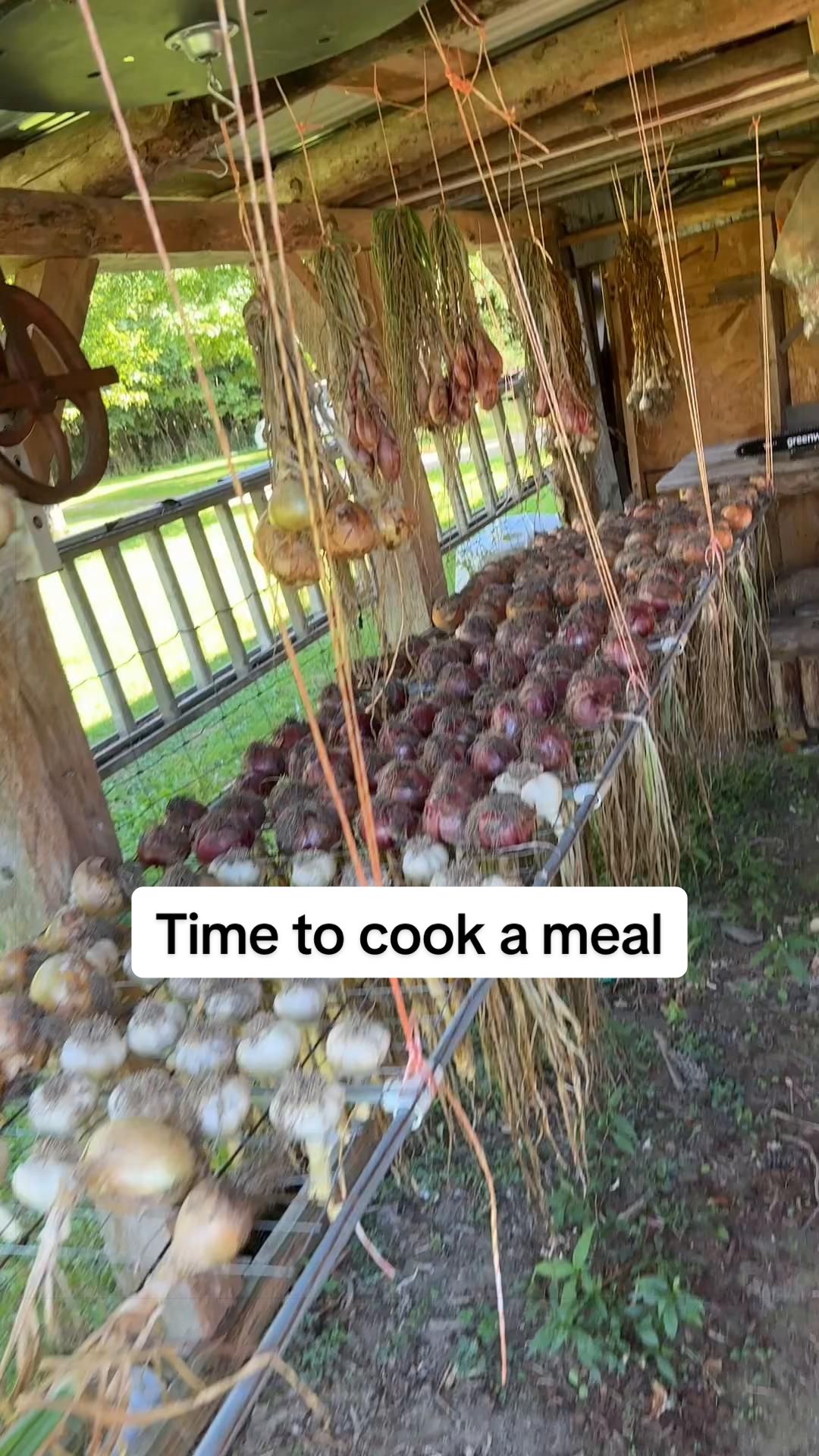 @GROWING_EDIBLE_PLANTS