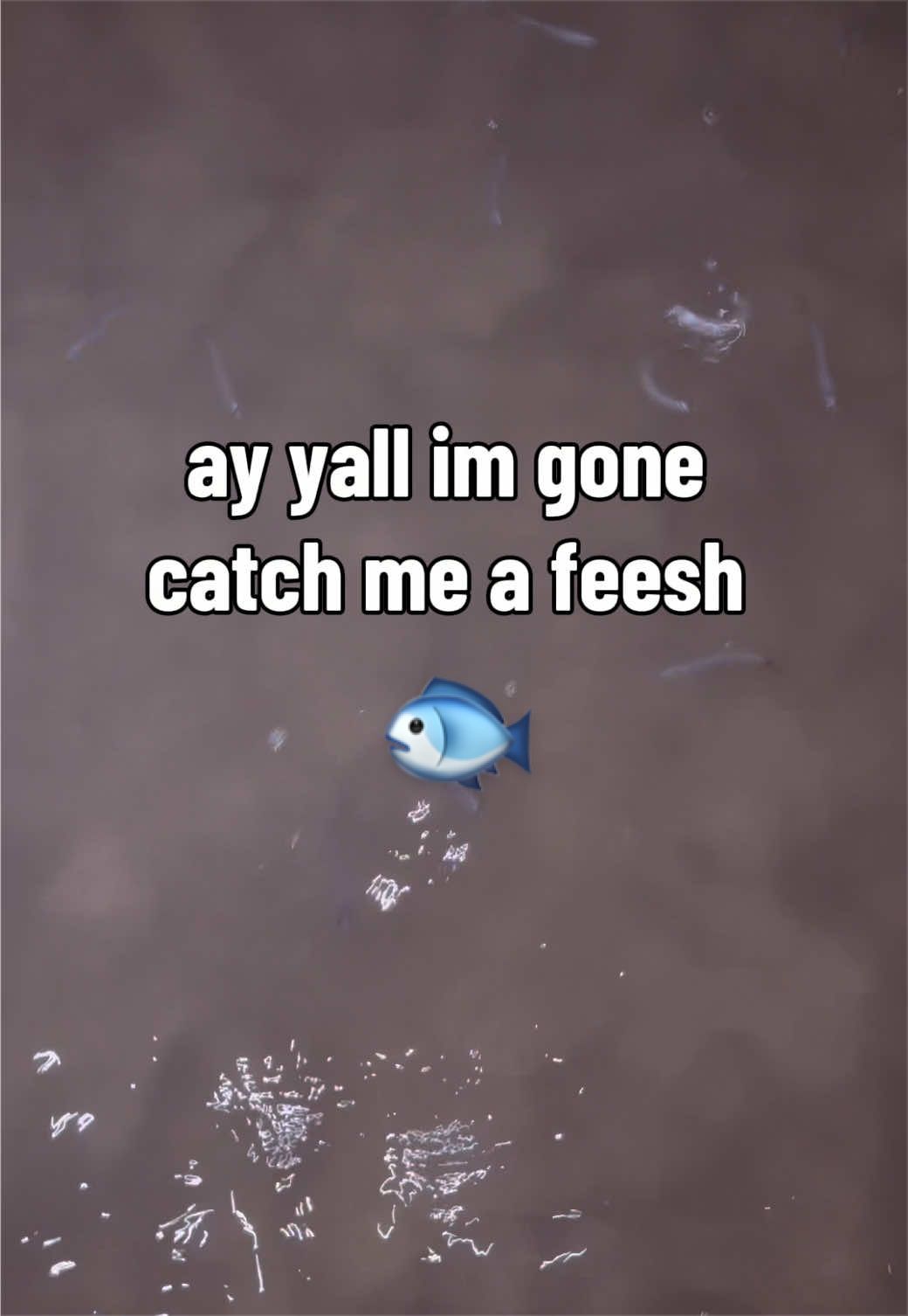@๐ต๐๐๐ ๐น๐๐๐๐๐แข๐ญฉ