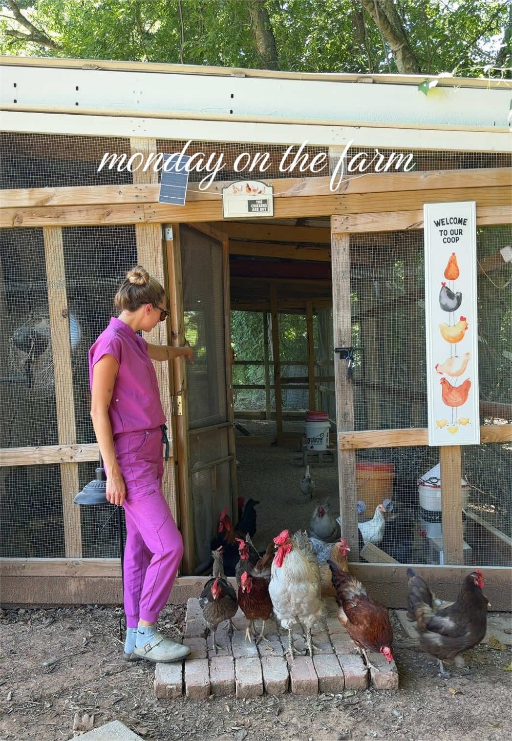 @meg&rsquo;s mini farm