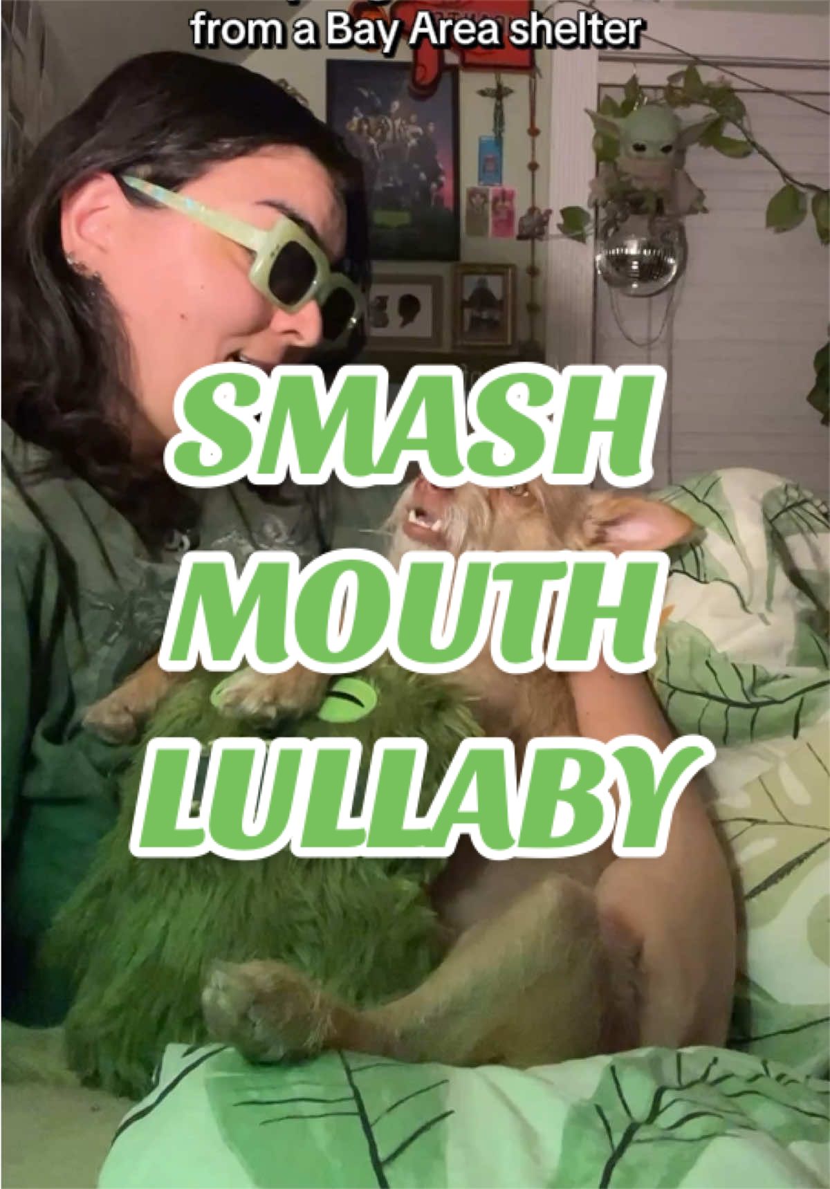 @What’s New Sunny-Doo?
