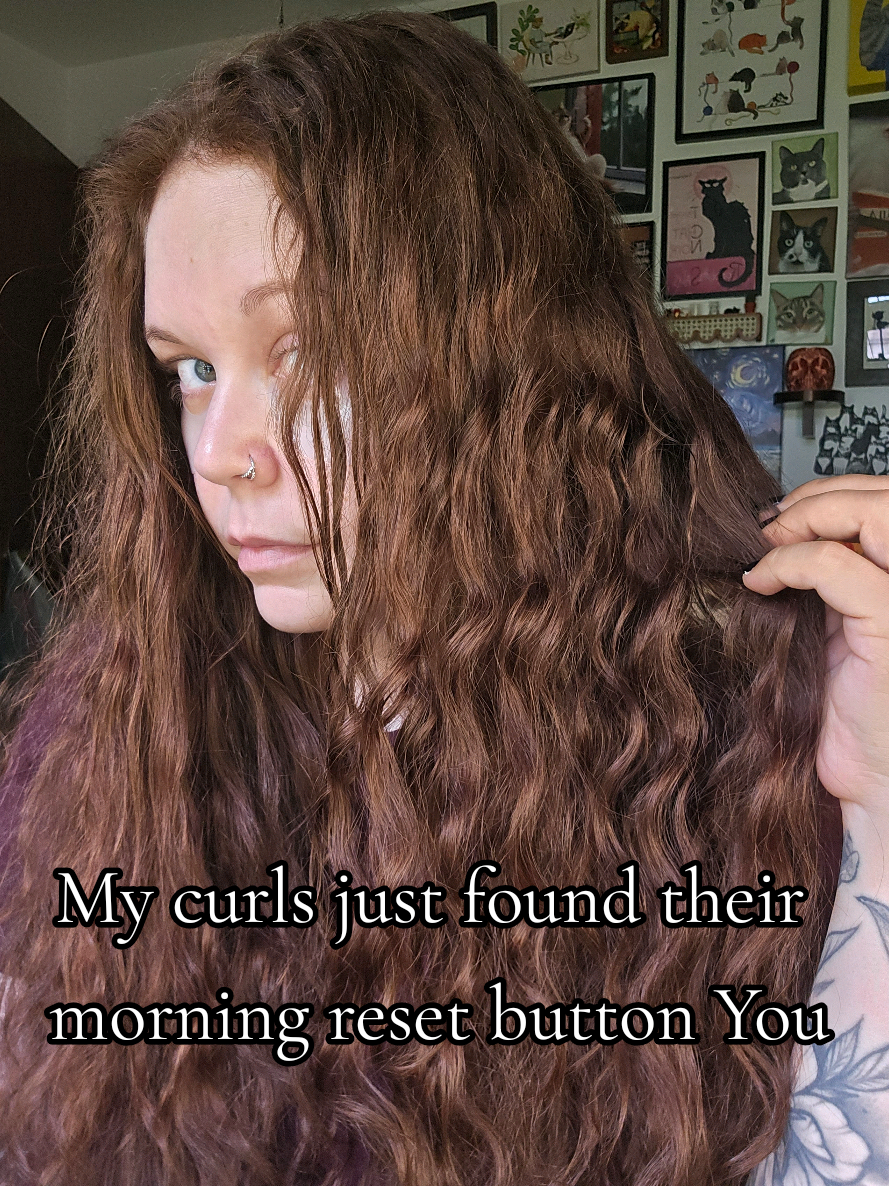 @𝓚𝓪𝓽 𝓦𝓱𝓮𝓮𝓵𝓮𝓻🐈&zwj;⬛