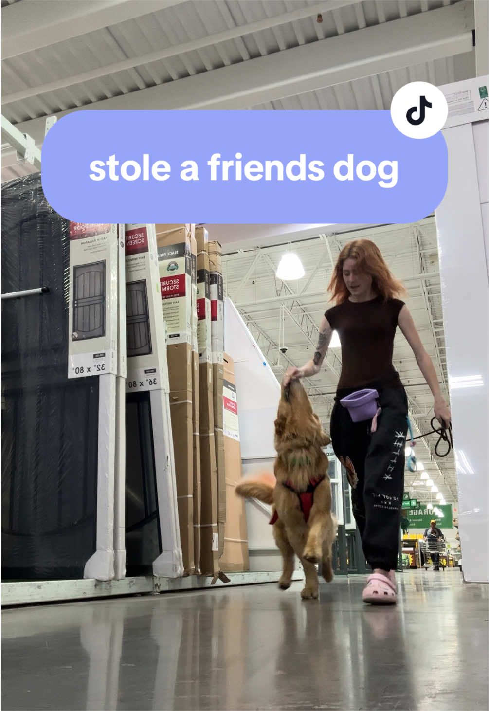@Kay and Kipper 🐕