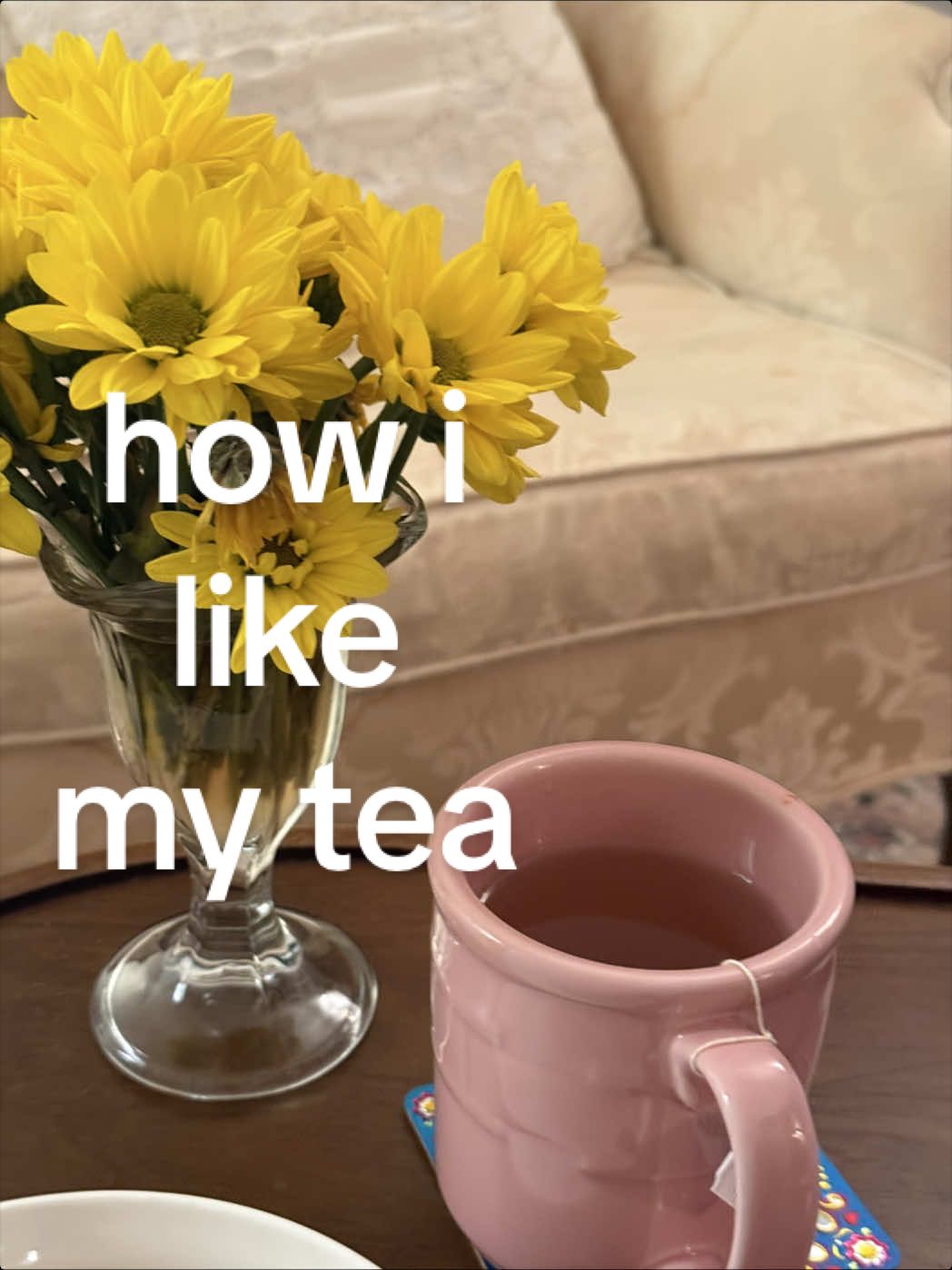 @alejandra | nyc creator