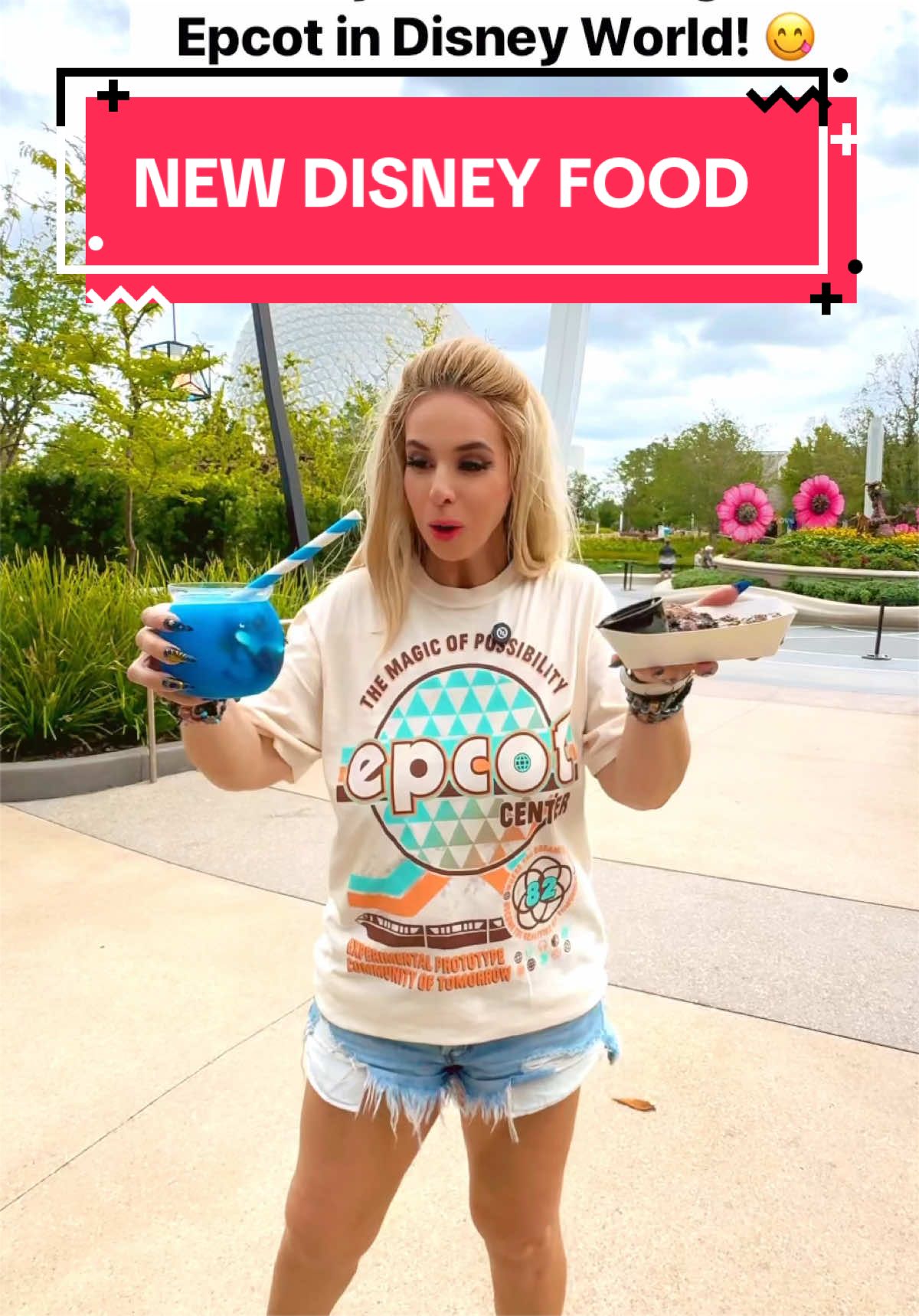 @LBV TV • Disney & Theme Parks