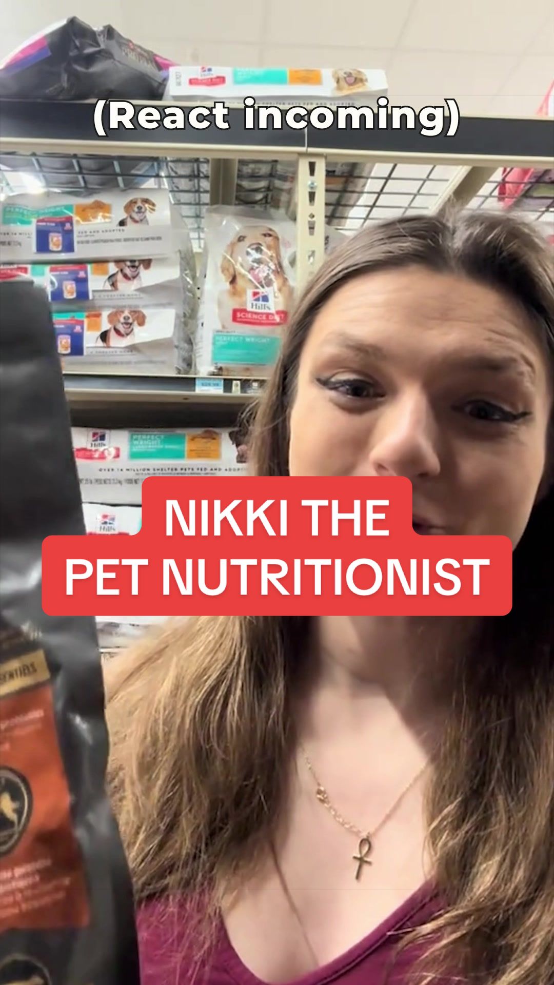 @The BK Pets - Dog Food Tips