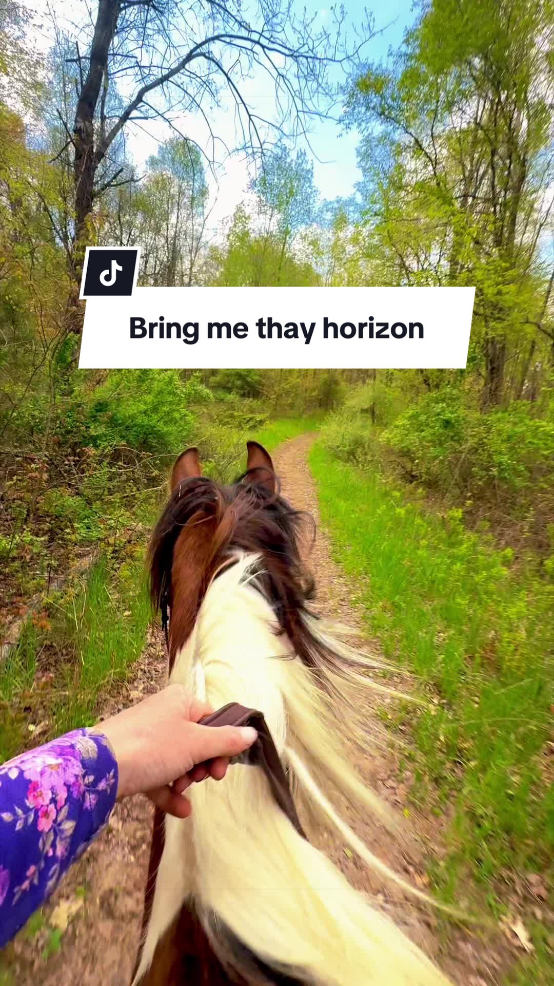 @Free Spirit Equestrian