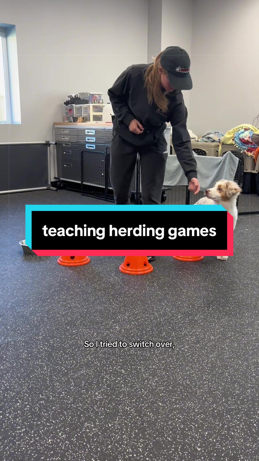 @Beck | Kentucky Dog Trainer