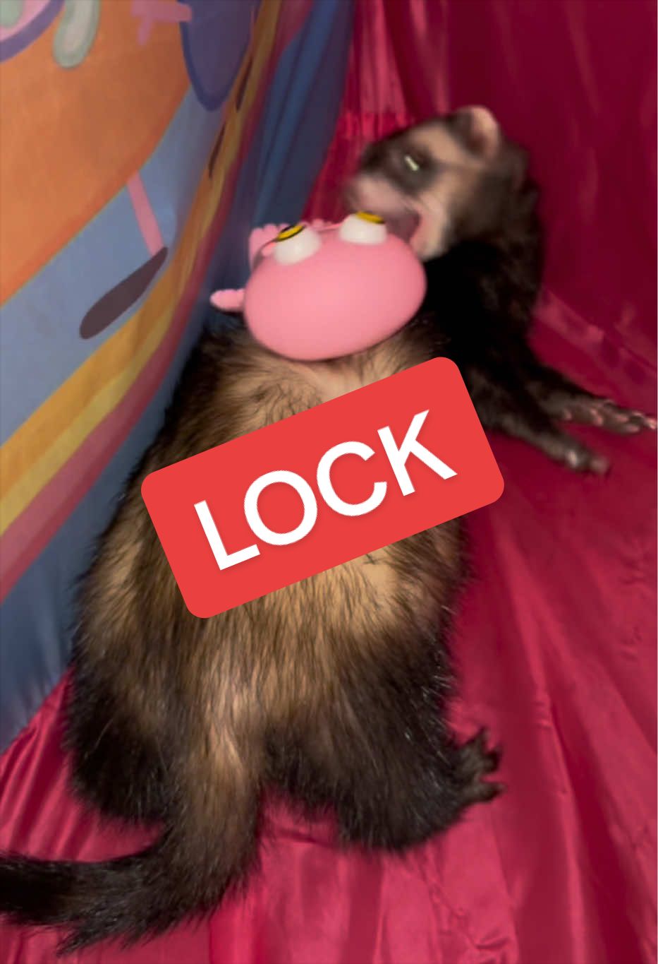 @Veritologic