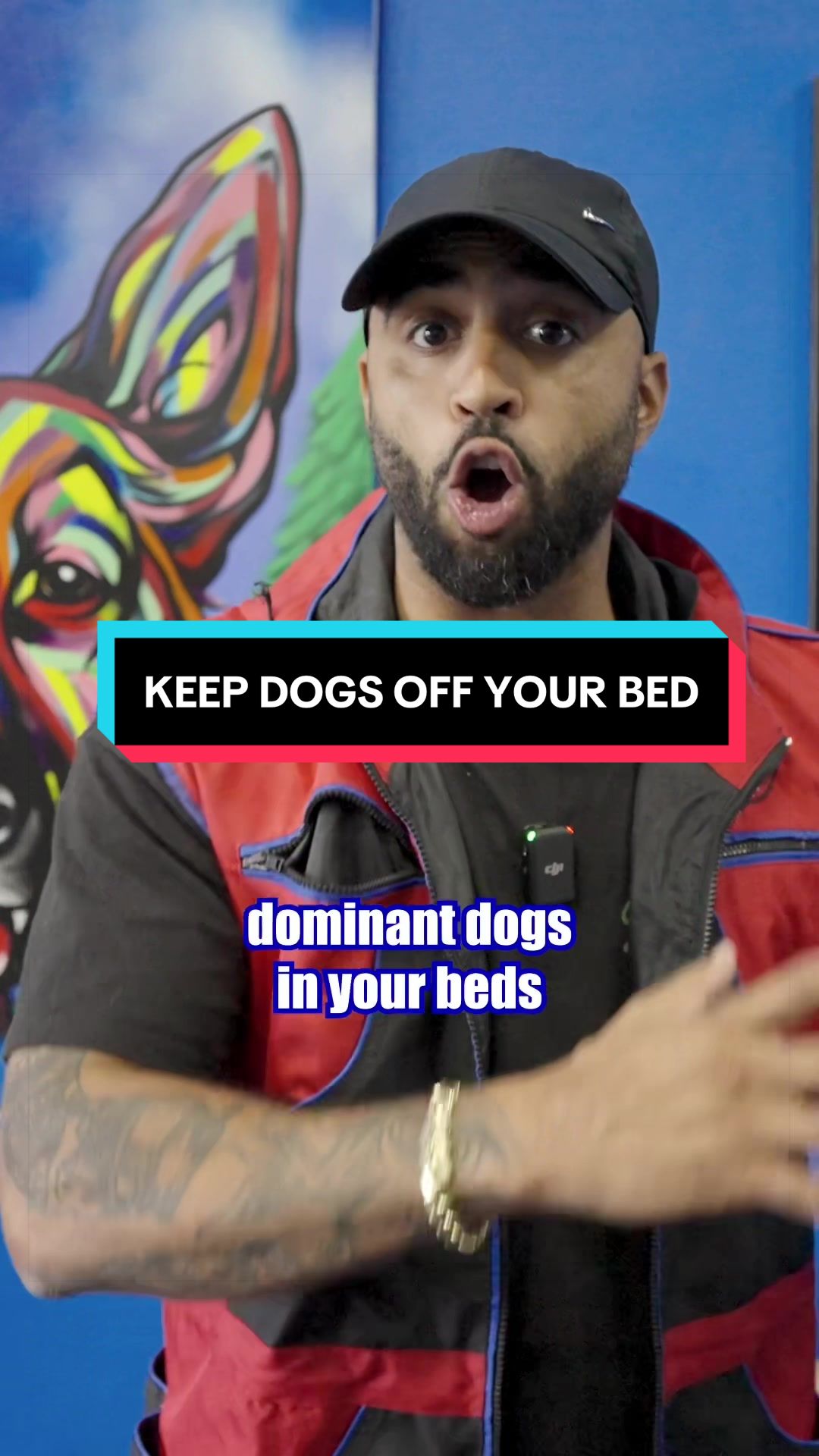 @Cali K9