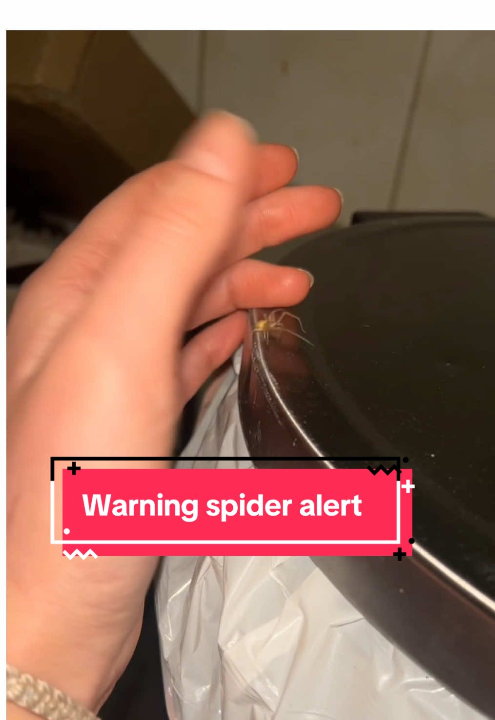 @Liz G🕷️🖤