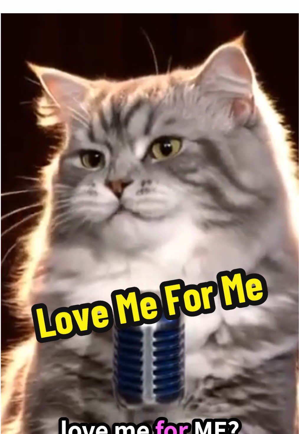 @comedyclubcats