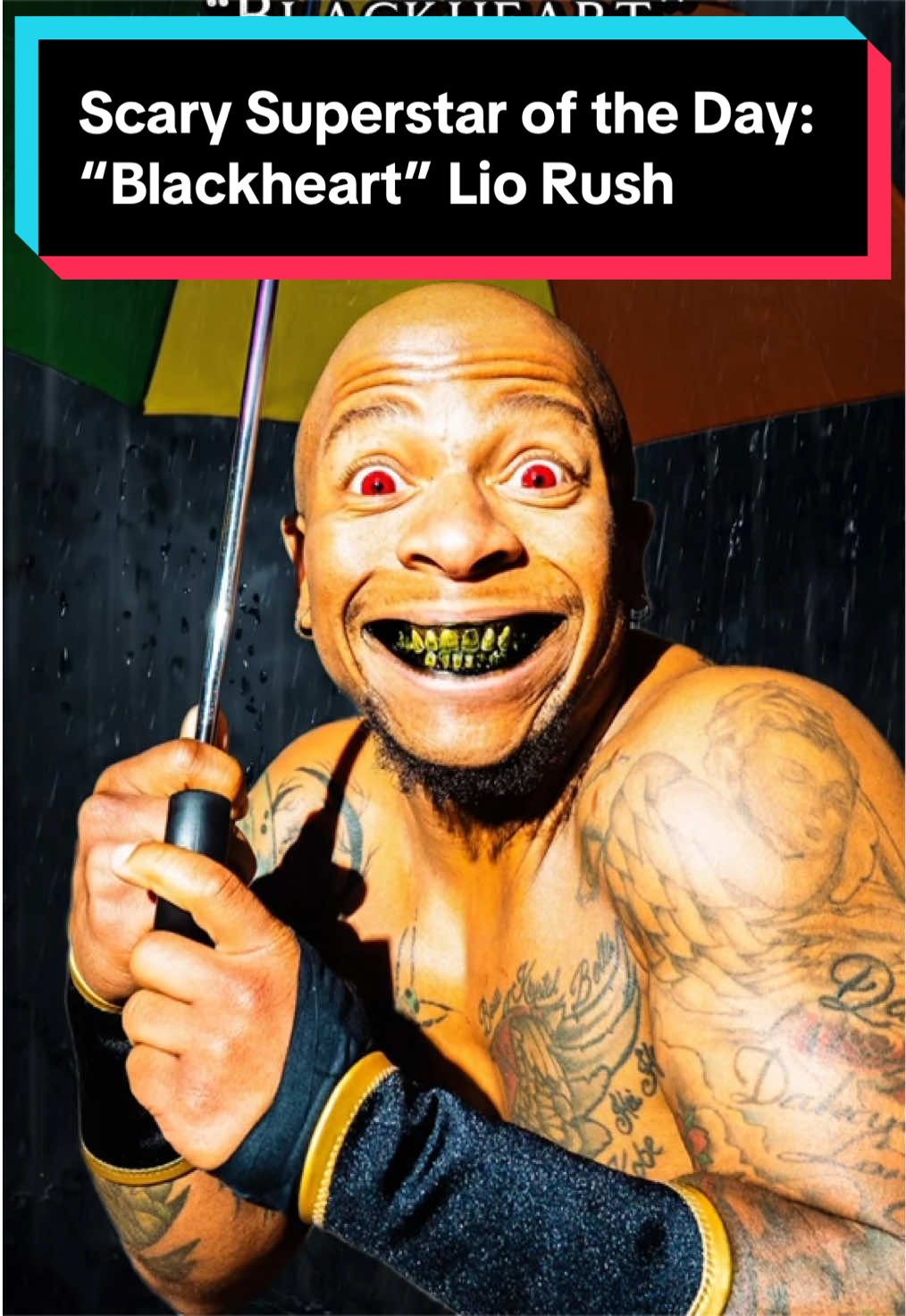 @WRESTLING WITH RONZILLA