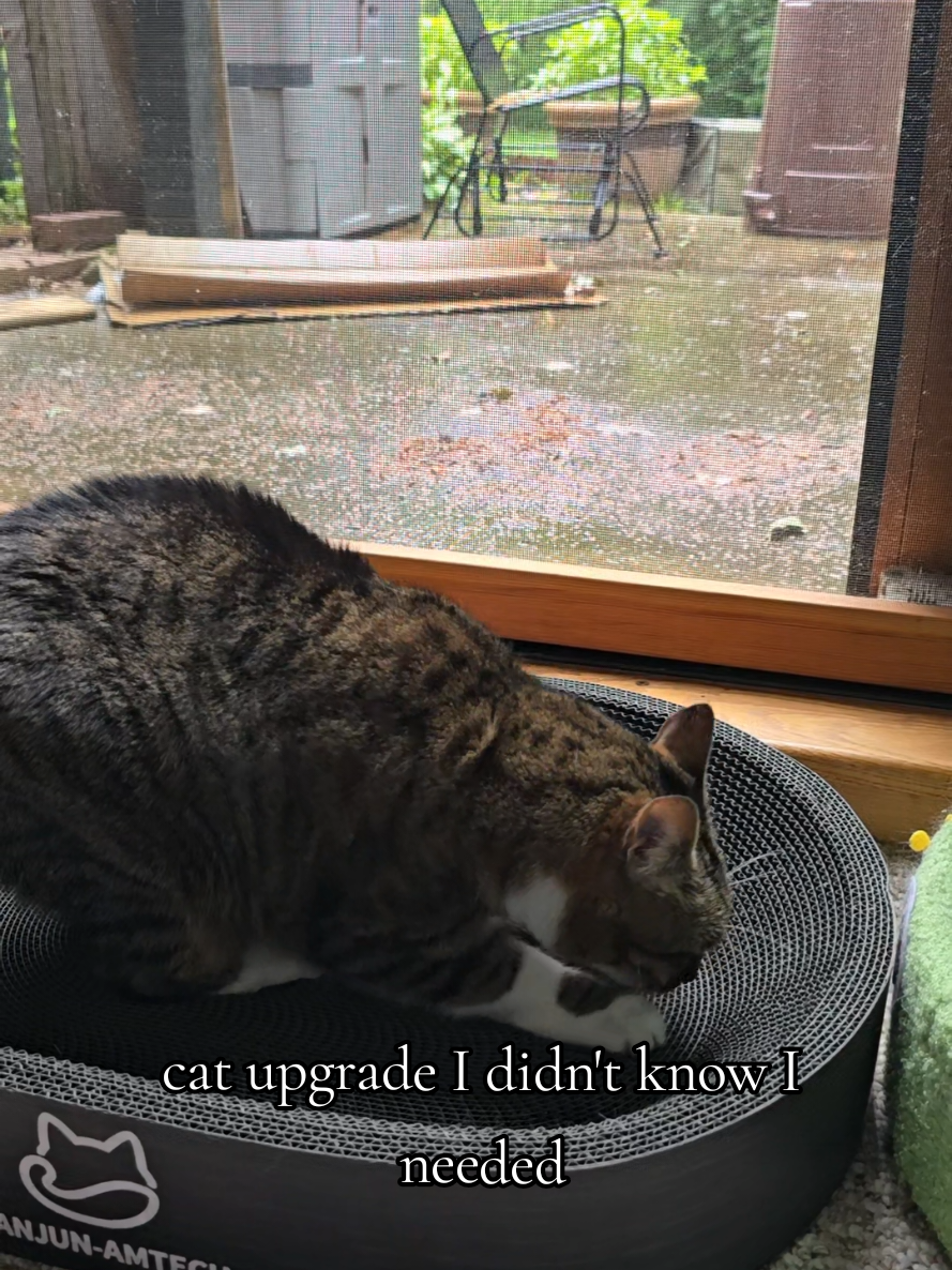 @𝓚𝓪𝓽 𝓦𝓱𝓮𝓮𝓵𝓮𝓻🐈&zwj;⬛