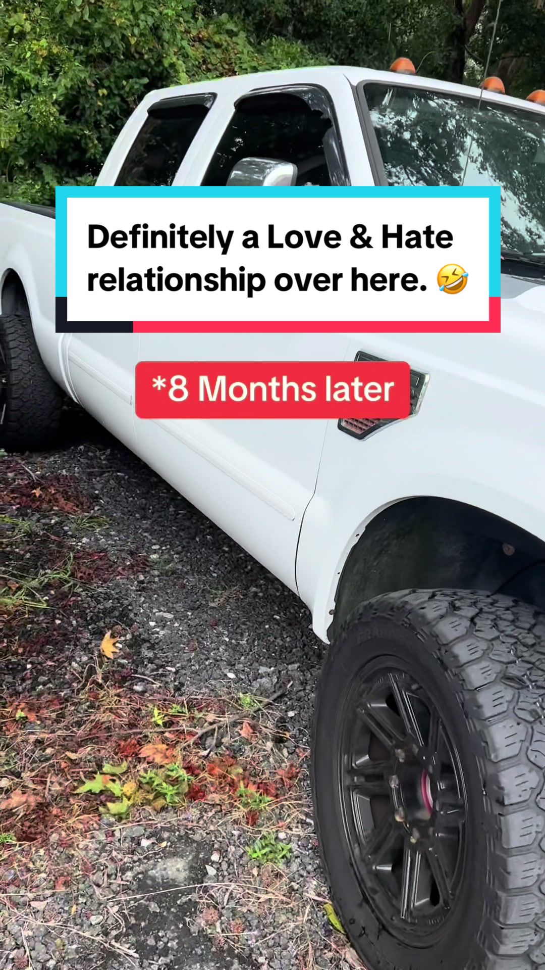 @bearyfast6.4