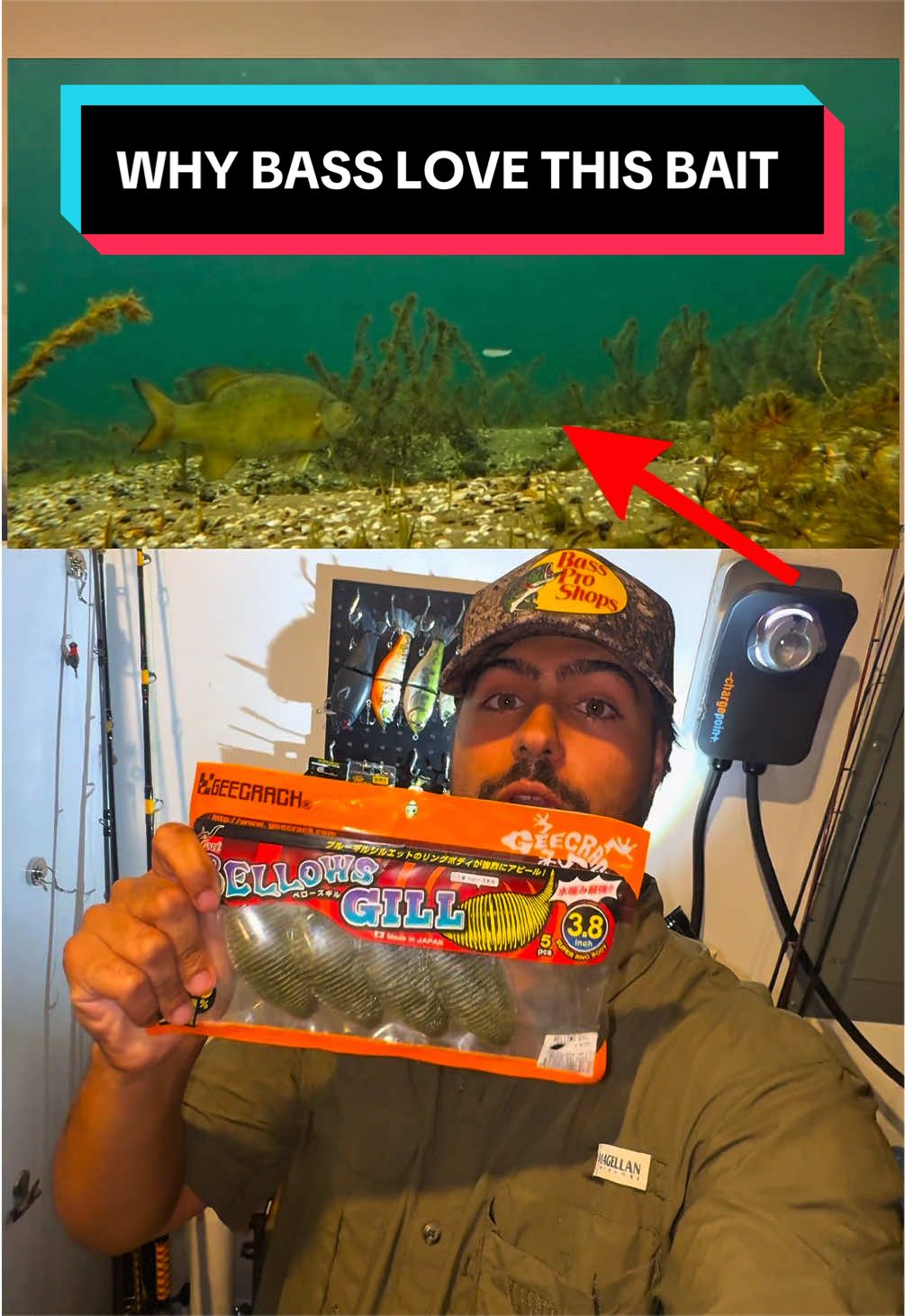 @castaway.kev