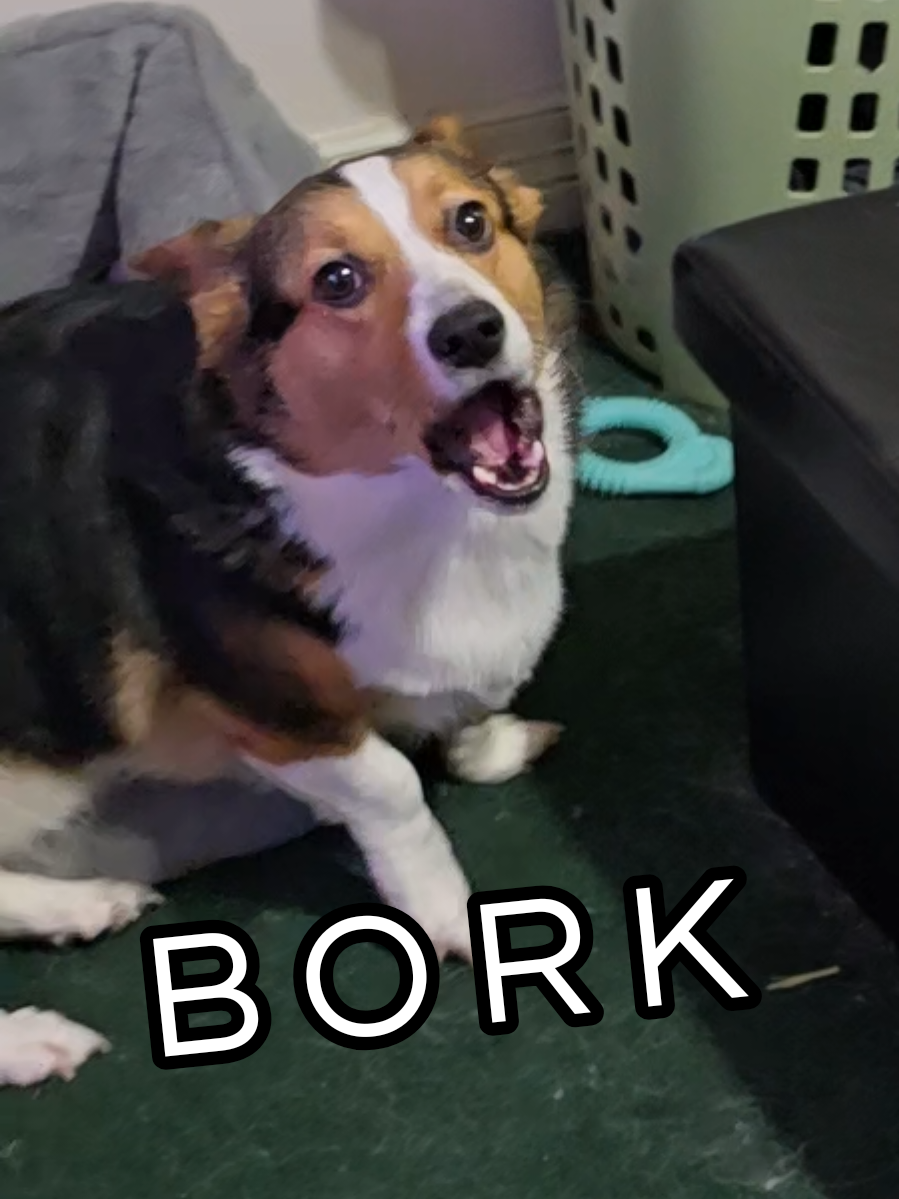 @womples