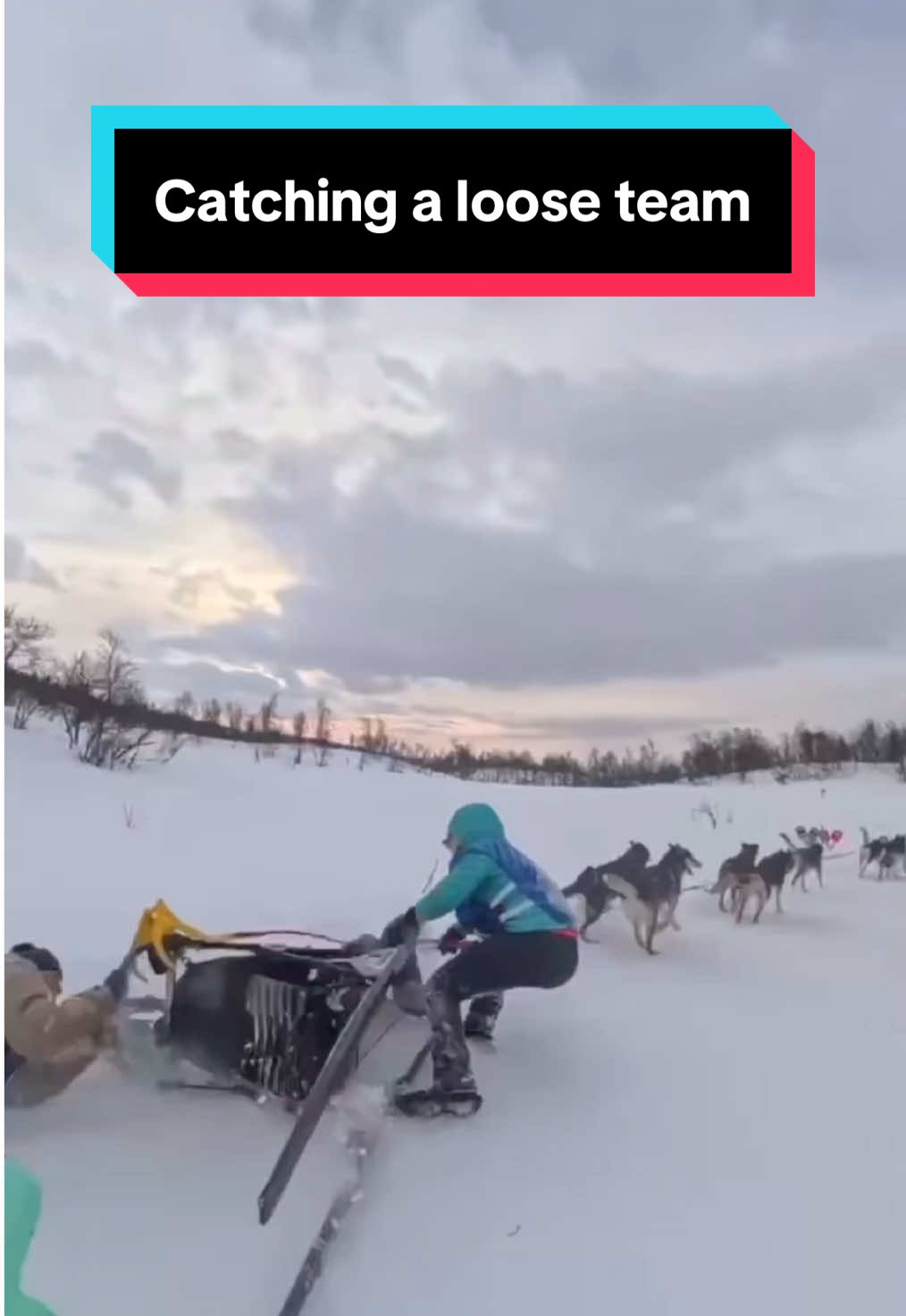 @Glacier Musher