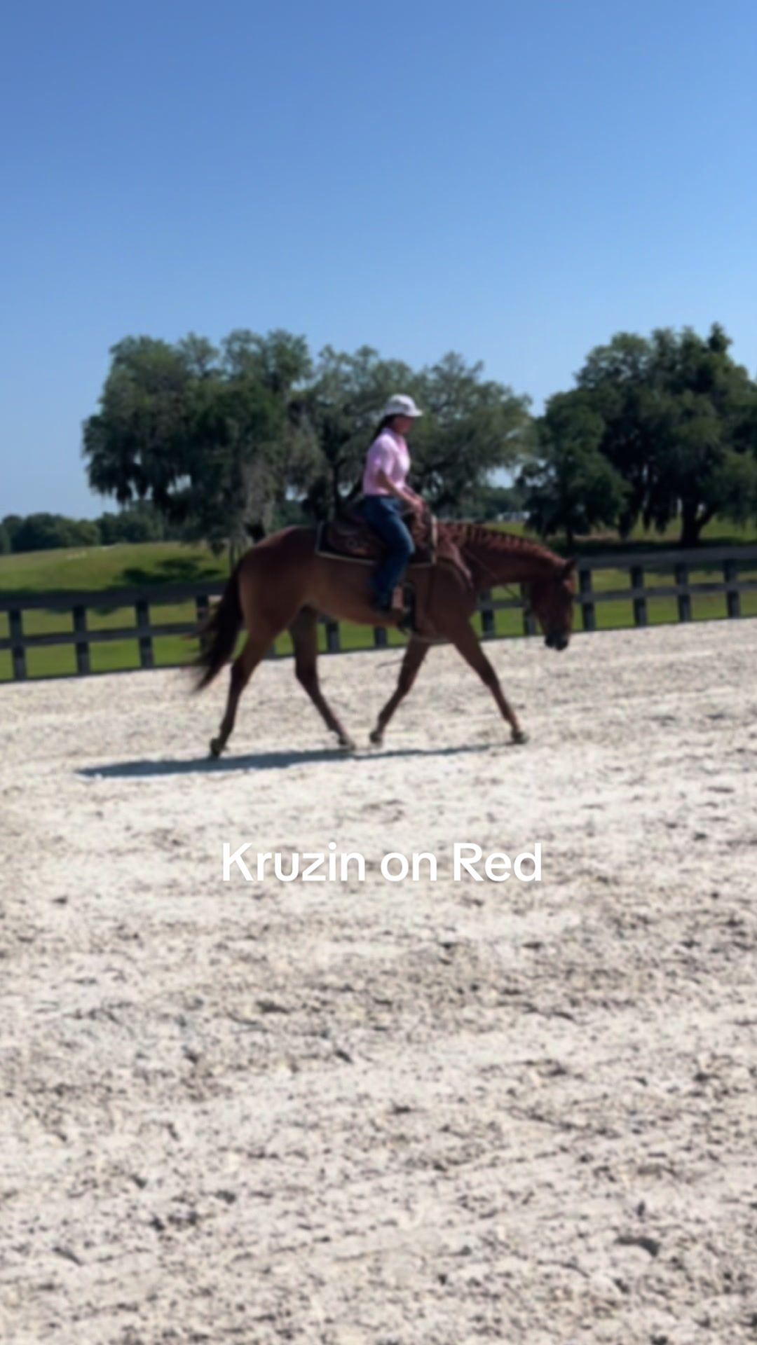 @Farley McLendon Show Horses