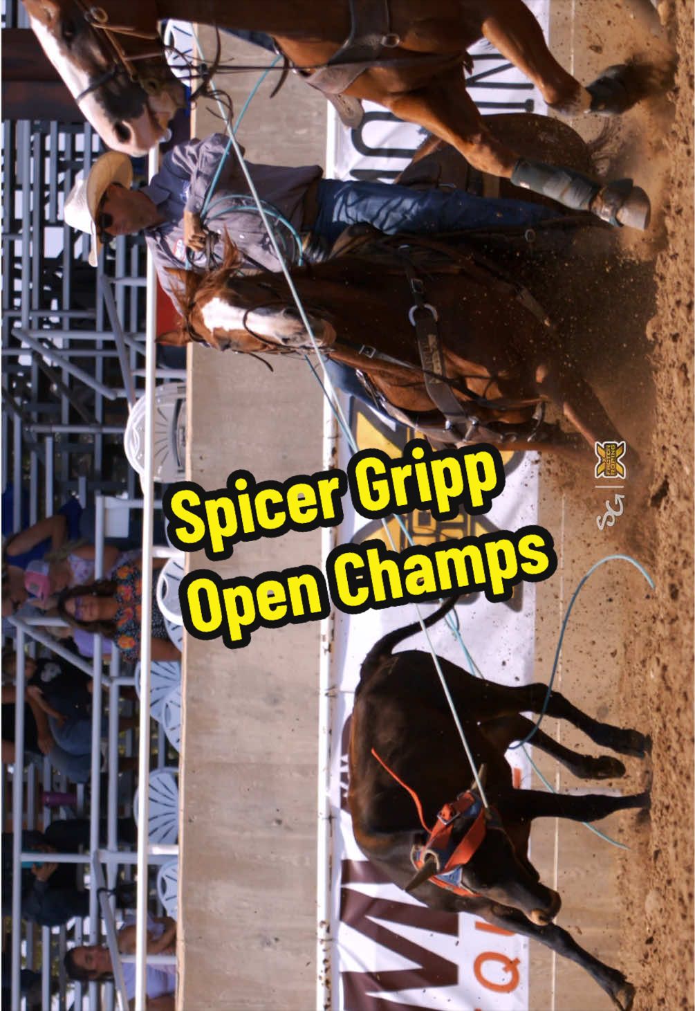 @X Factor Roping