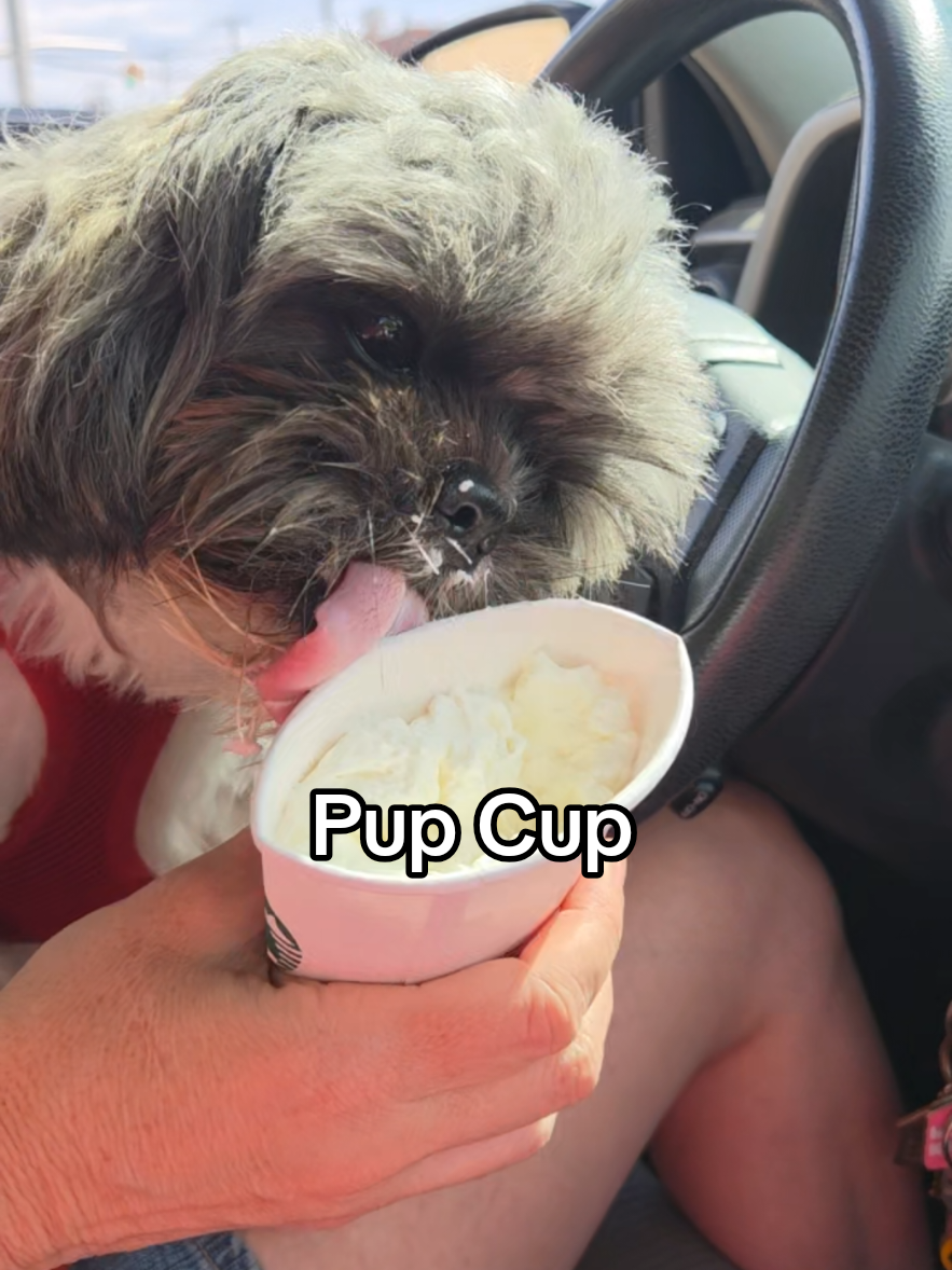 @🐶🎀OzzyBoy&Jenn🎀🐶