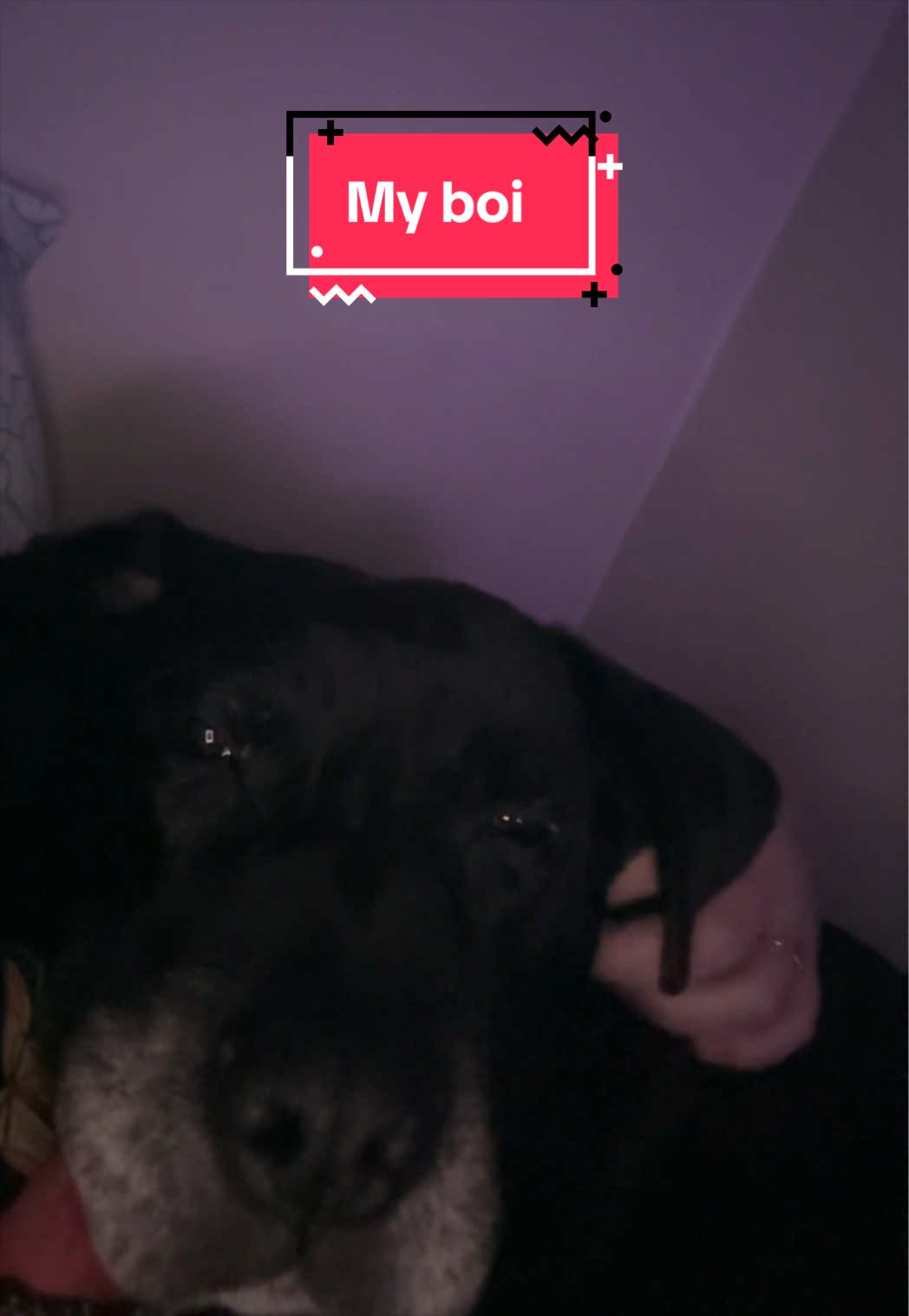 @Kate_plus_weight