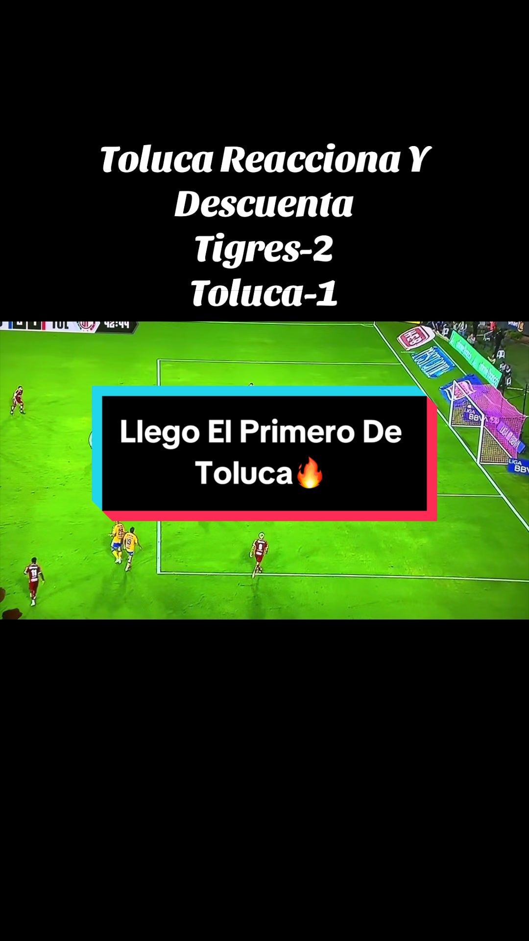 @elbuenavida58