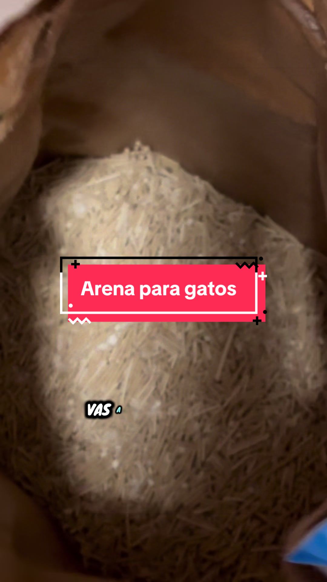 @Pily y Abelito