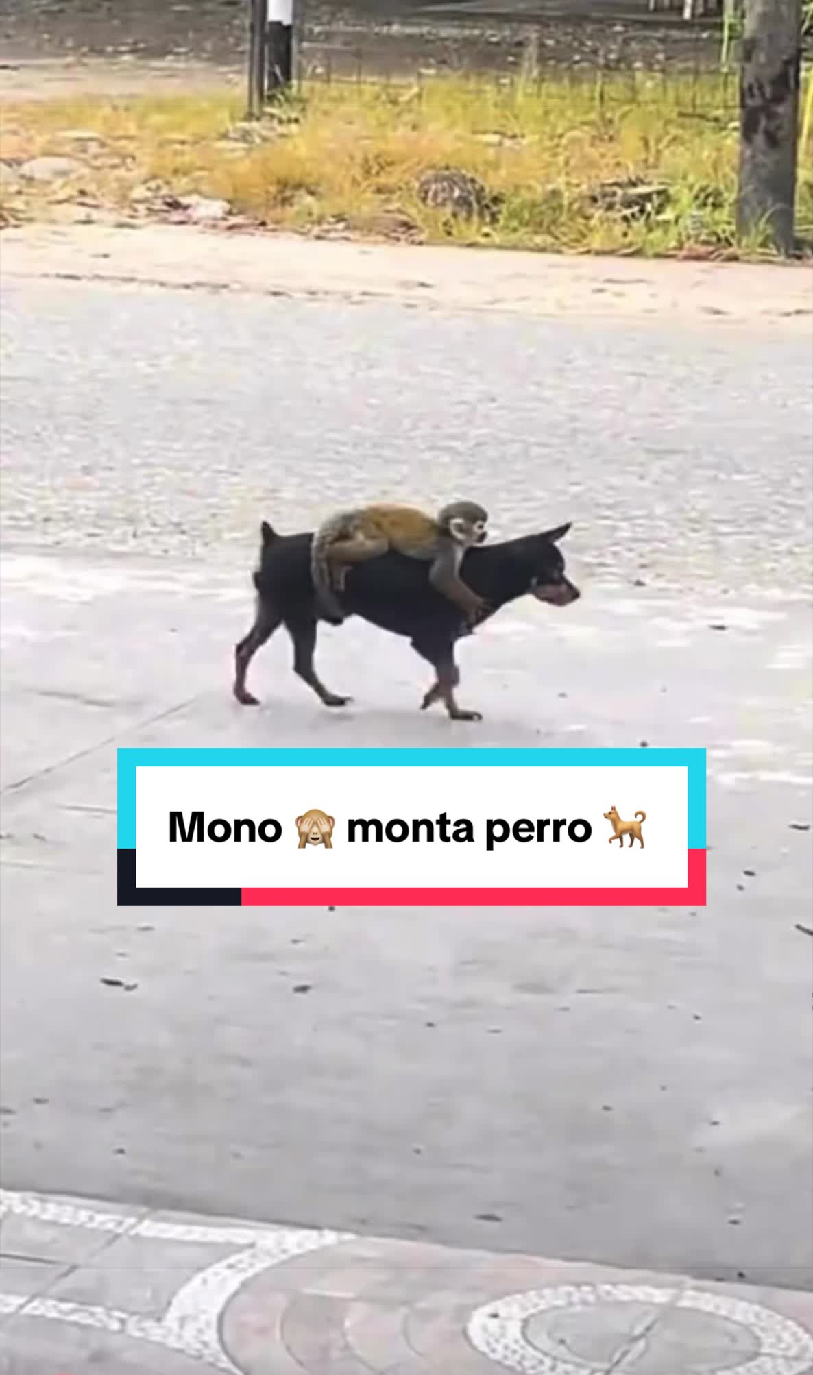 @De todo