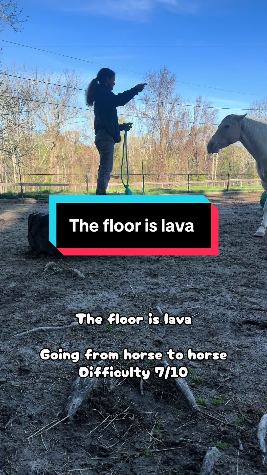 @Sandra&rsquo;s pale herd 🐴