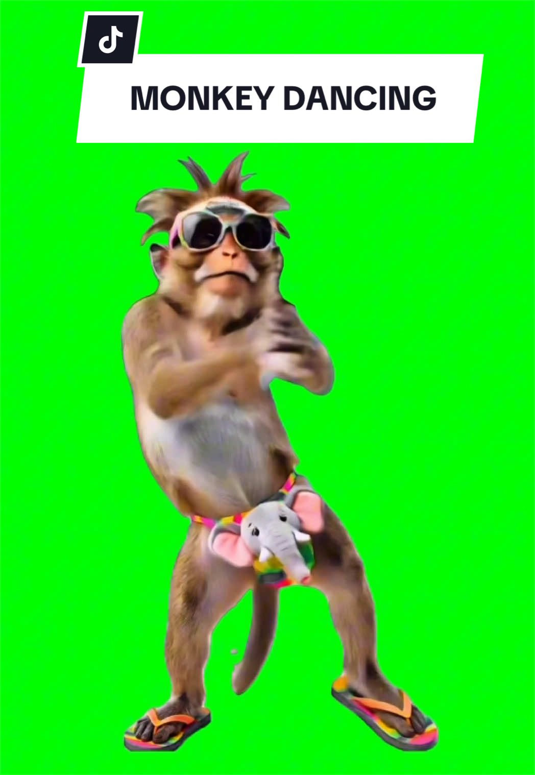 @SILLYBALOO