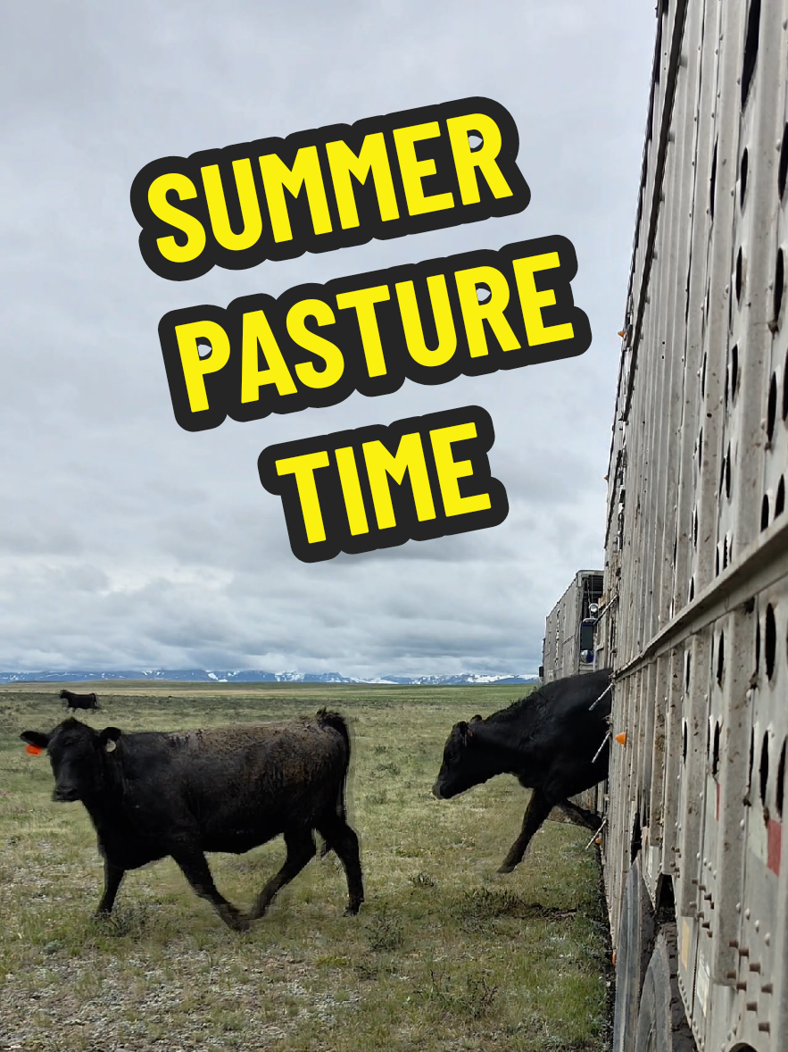@1HANDNFARMING 🦾🌾🐂🚜