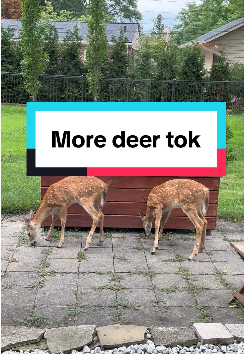 @Slowly Silver