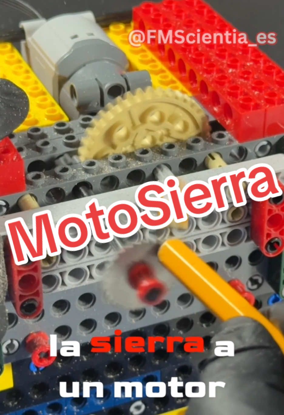 @FM Scientia - Espa&ntilde;ol