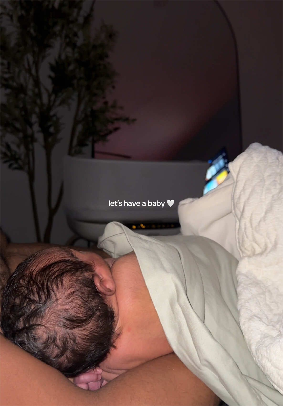 @lex