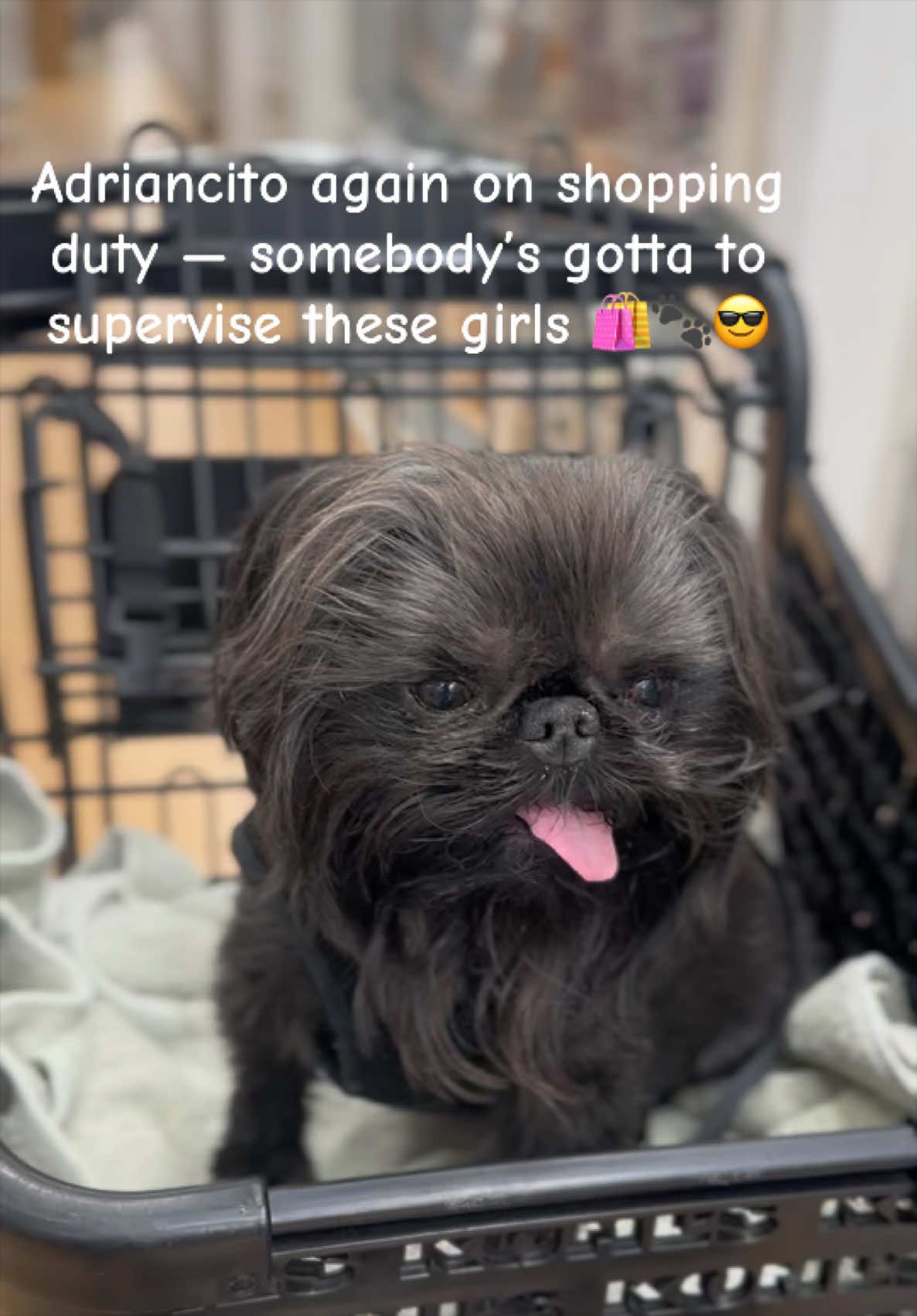 @LifeWithAdriancito
