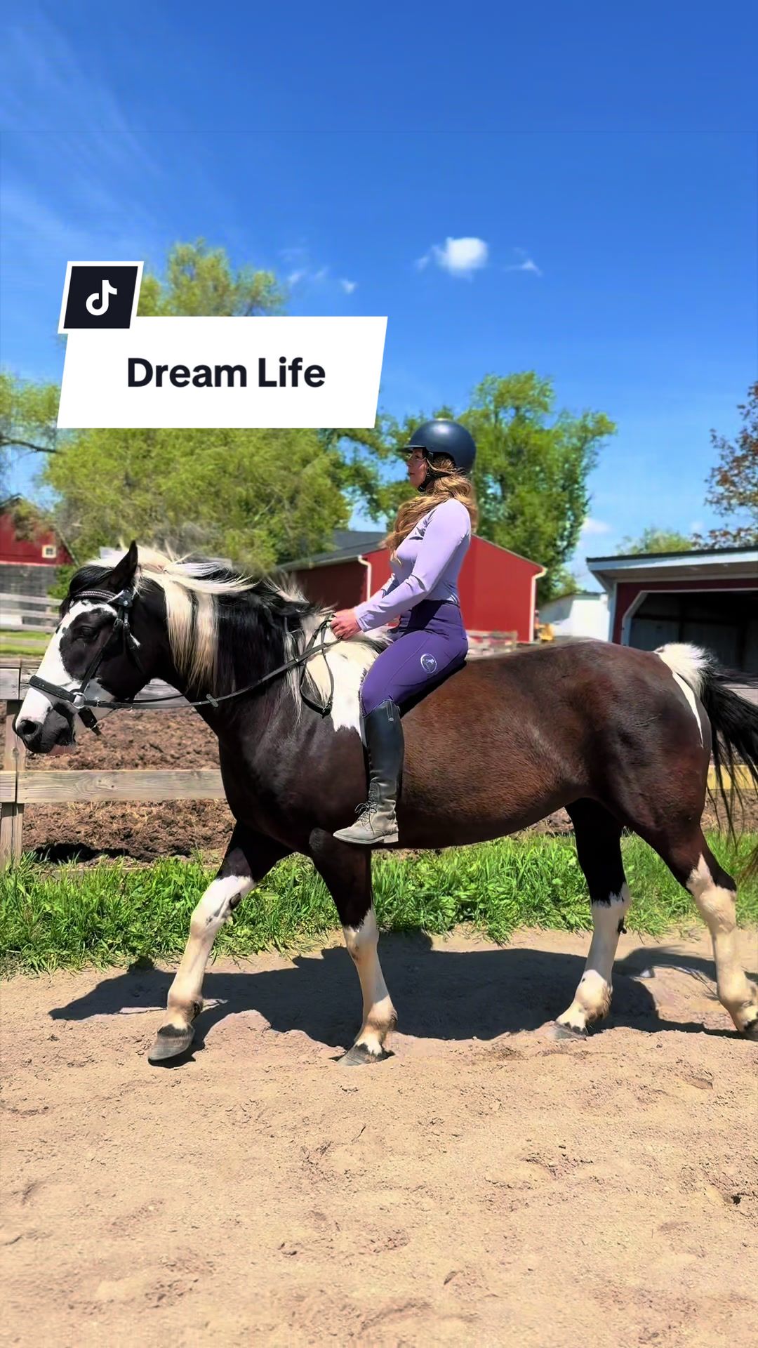 @Free Spirit Equestrian