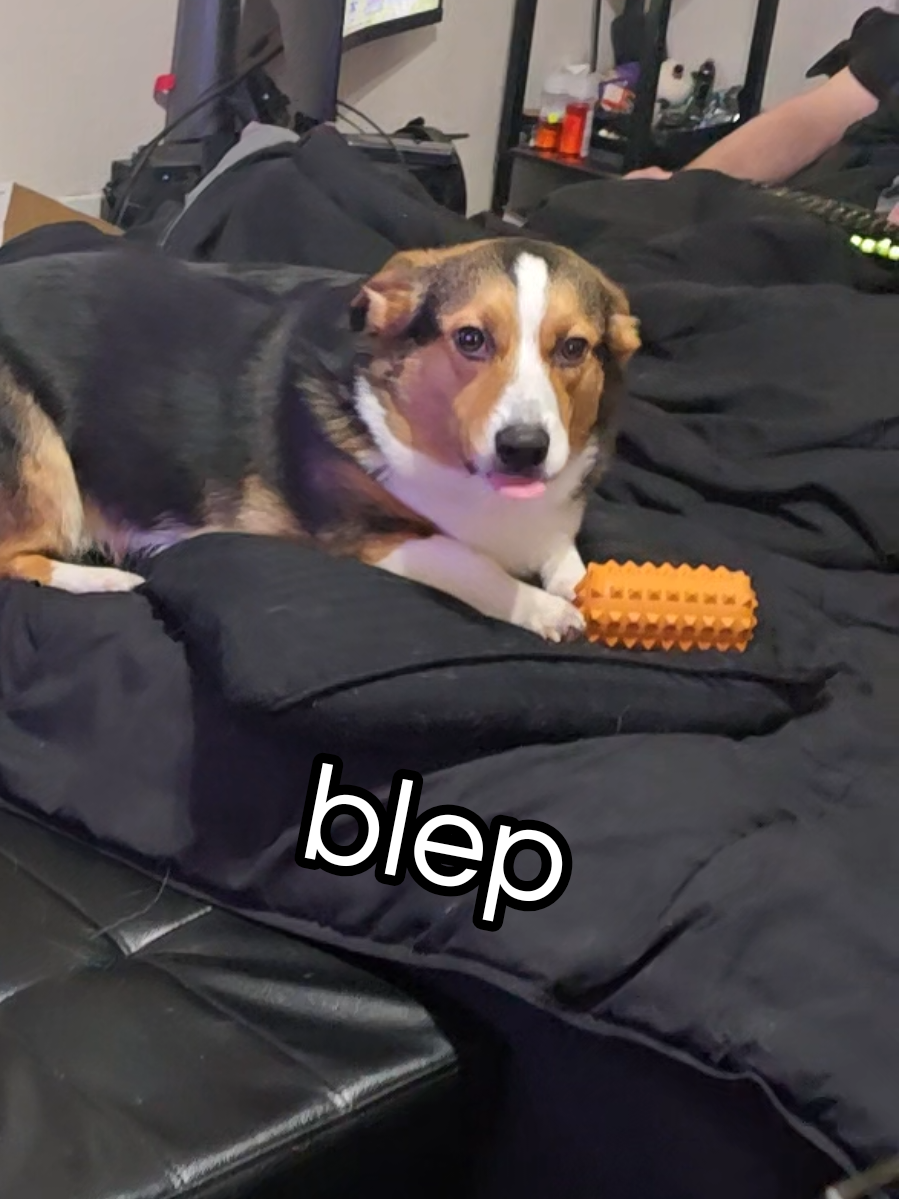 @womples