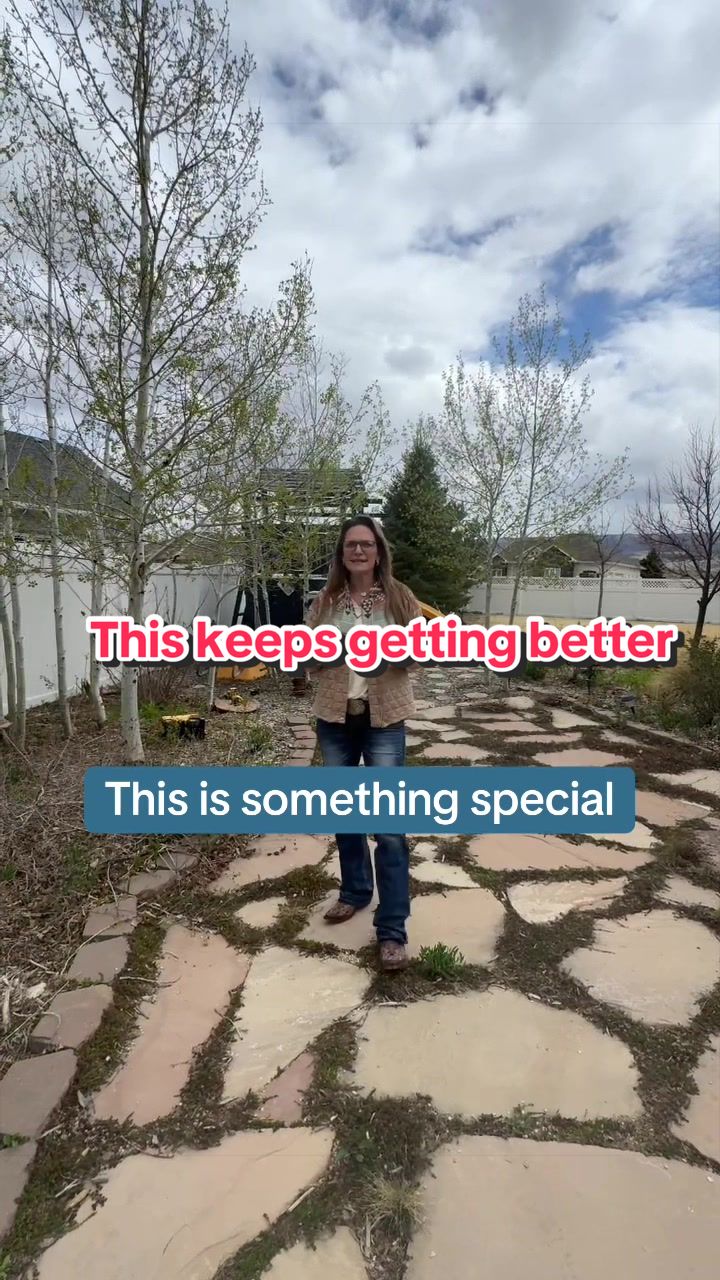 @Alisha Collins Realtor