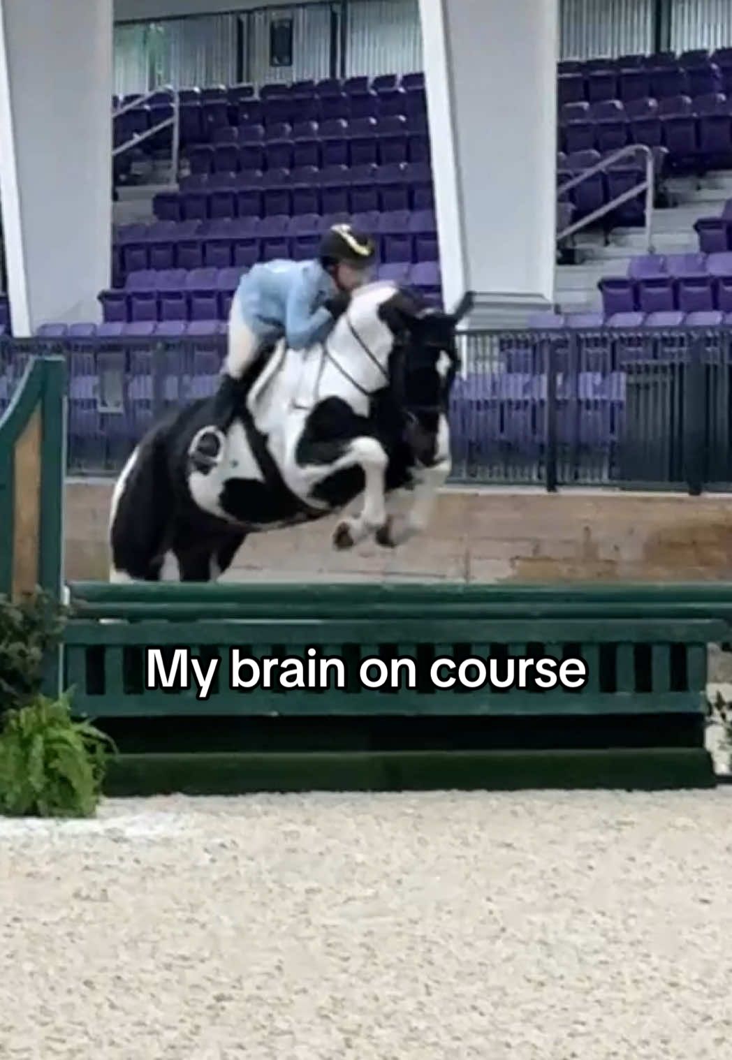 @Margot Hirsch, DVM