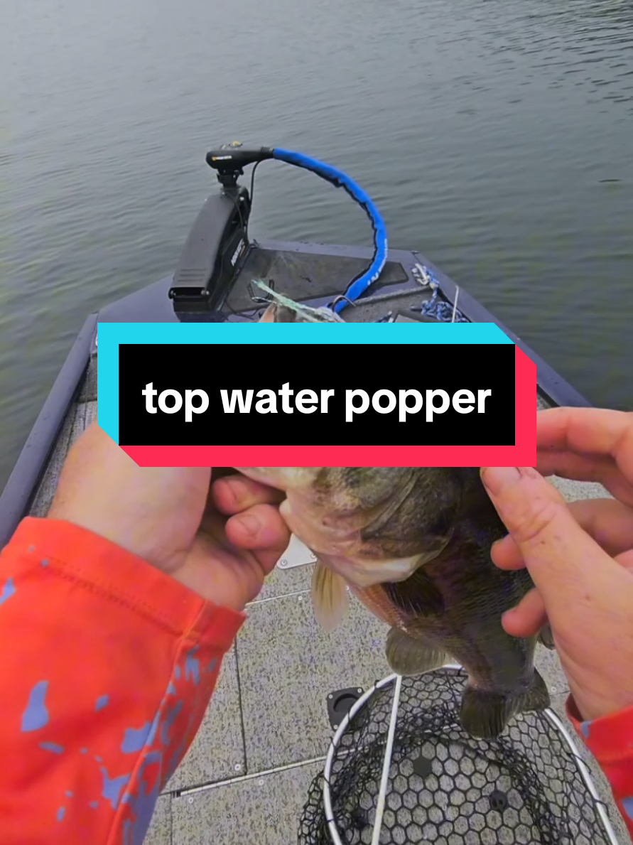 @SP_The_Ned_Master