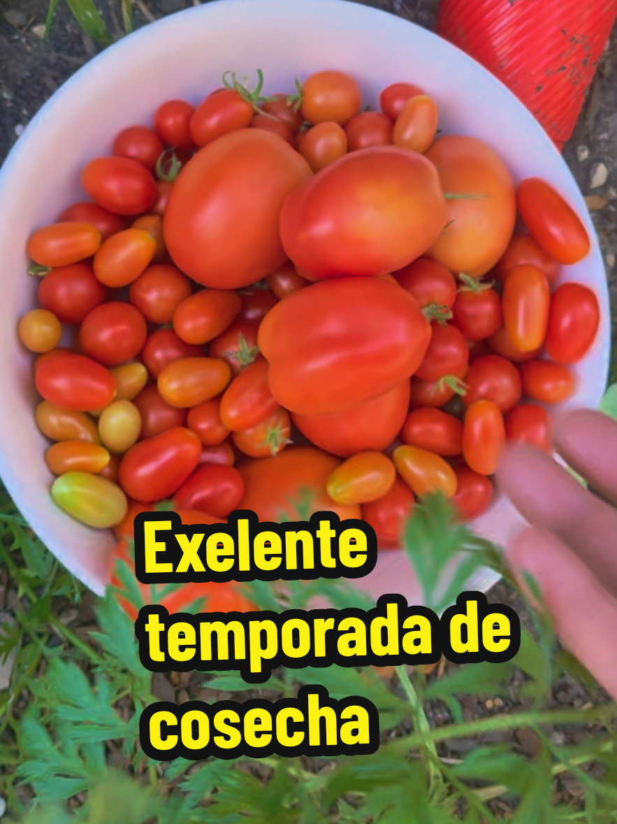 @Mi Rincón Favorito