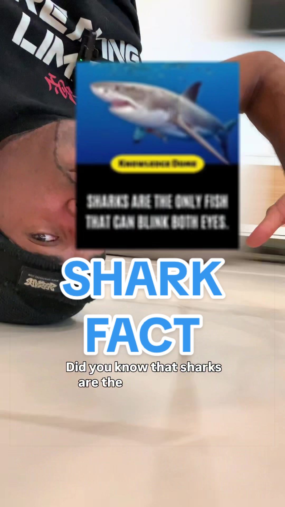 @Headspin Facts