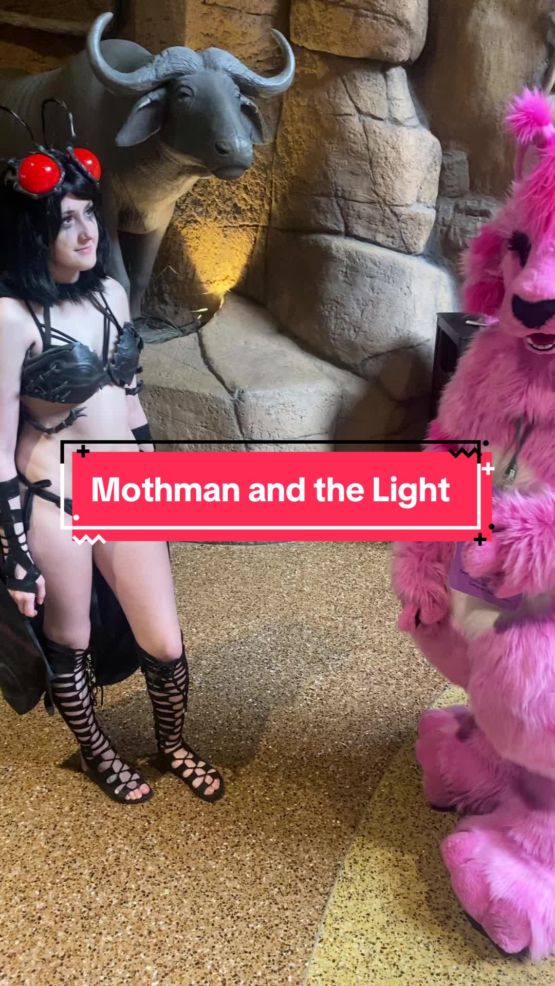 @Annakitty13
