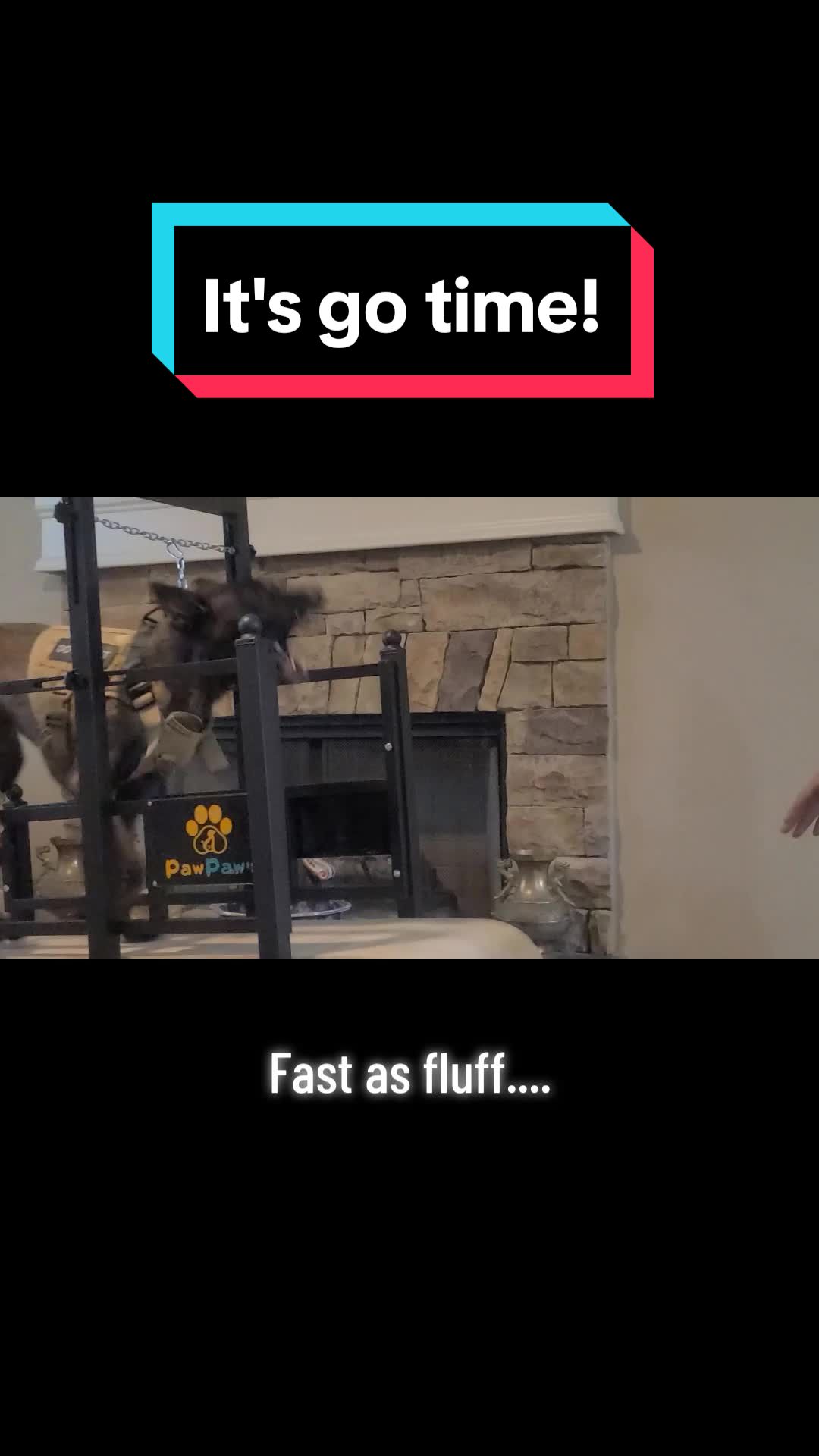 @My Mali Zelda