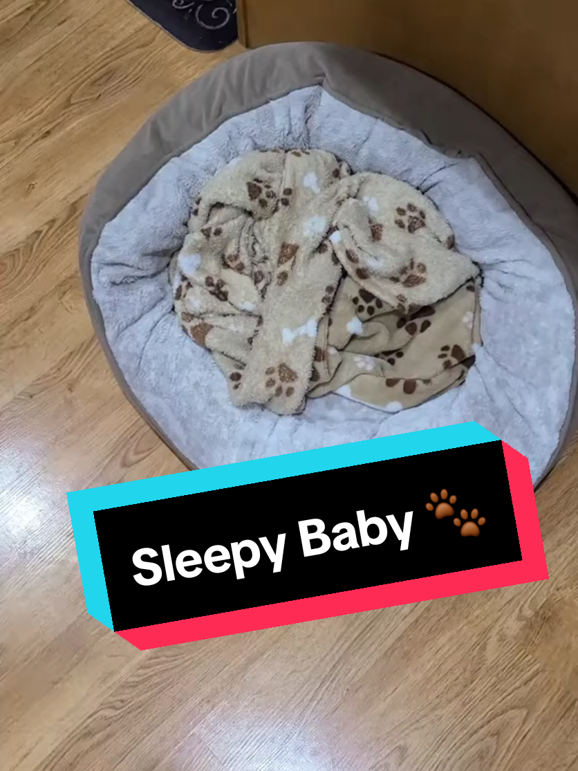 @MamaMiaAndZ