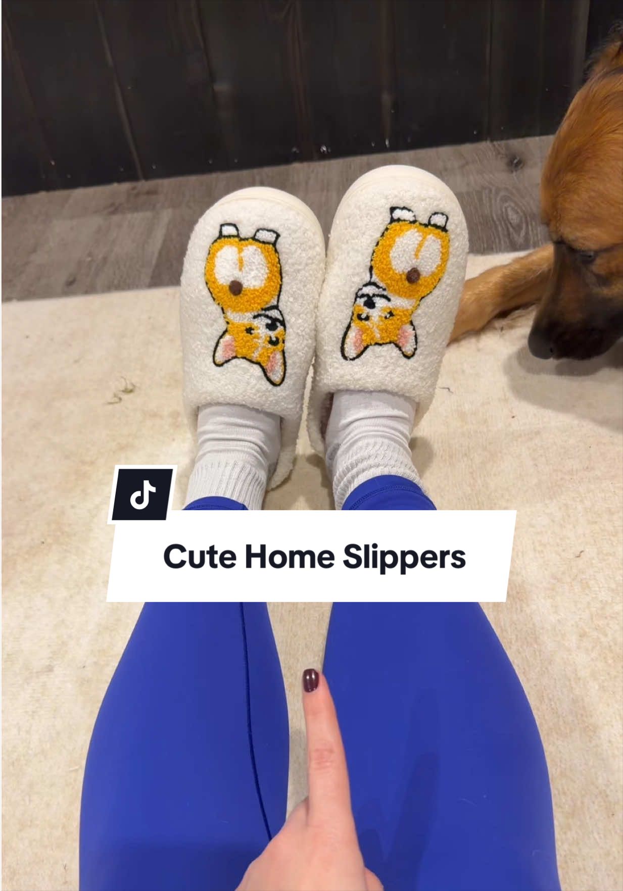 @lifewithgoldenshepherds