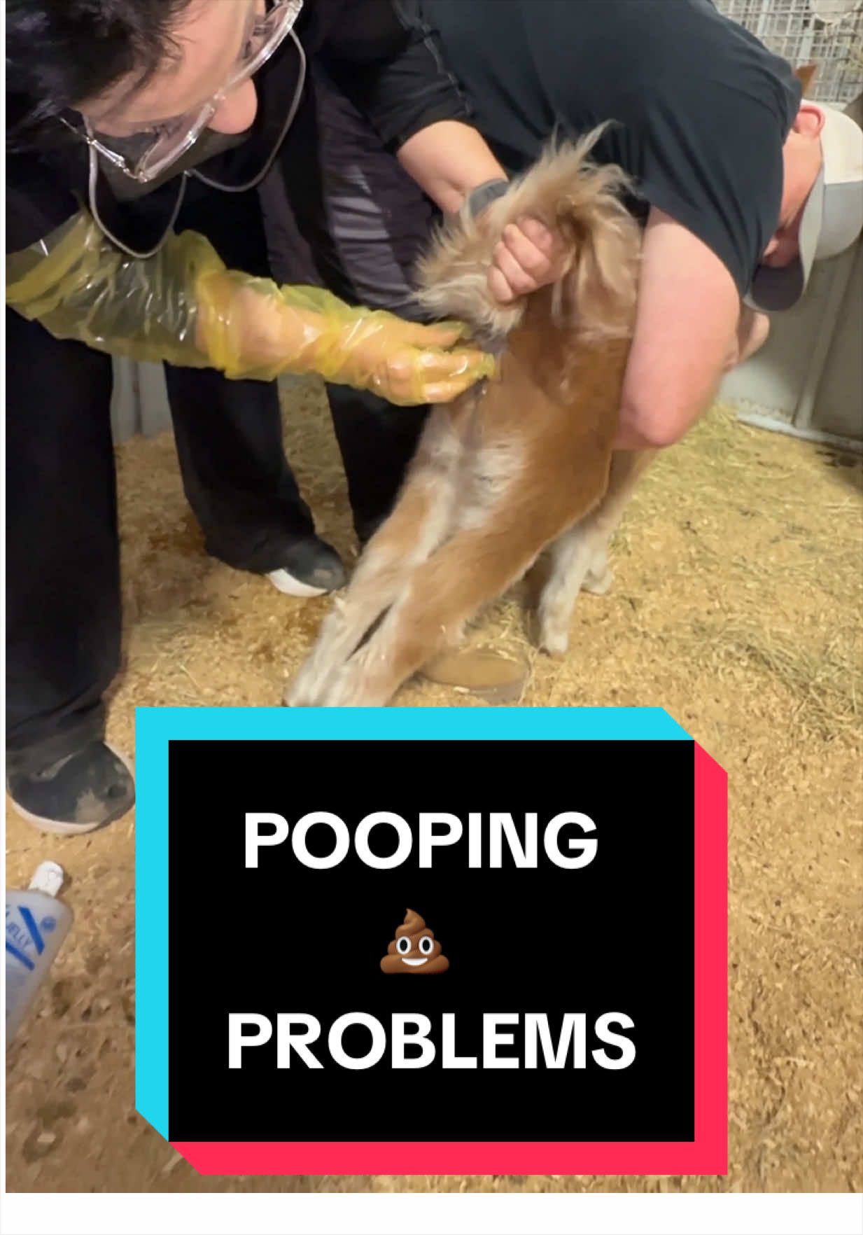 @Dr.Nicole-VetMed