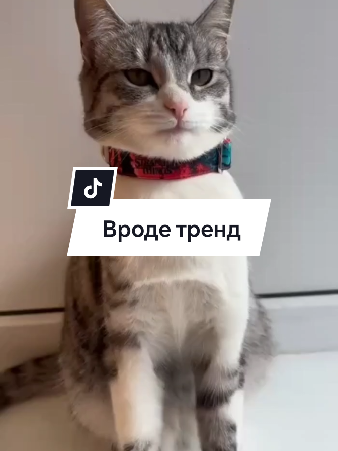 @🩸маньячка🩸