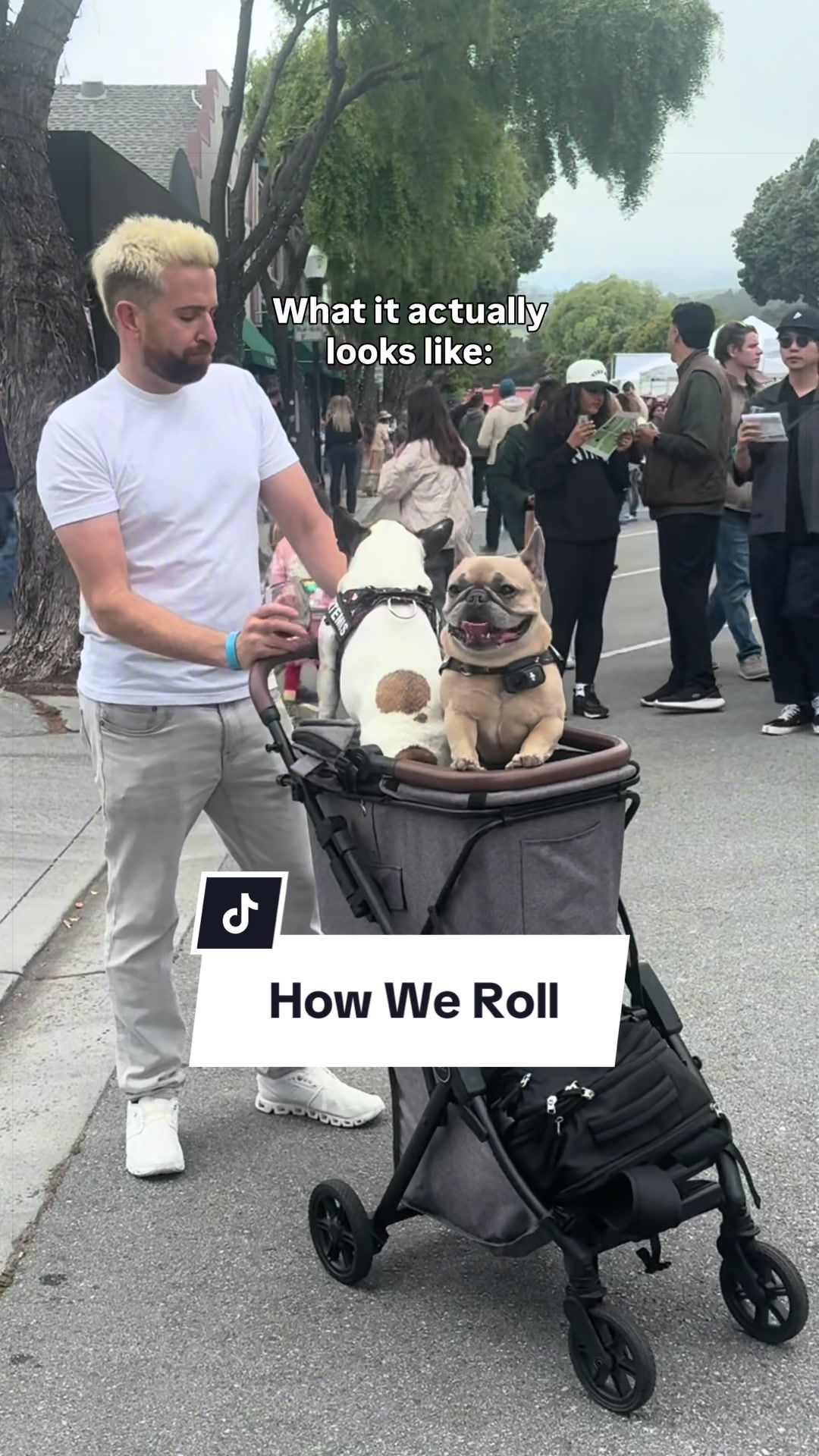 @Somefrenchienamedapollo