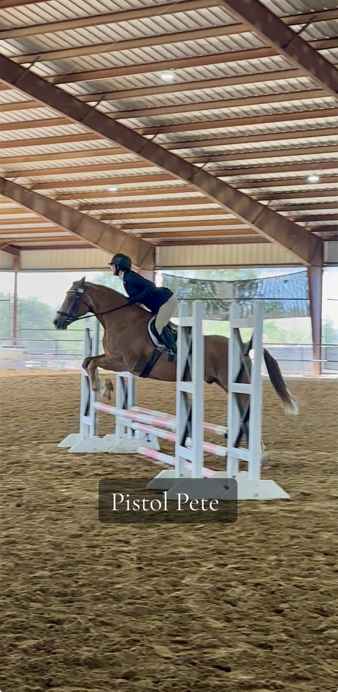 @Grace Equestrian TX